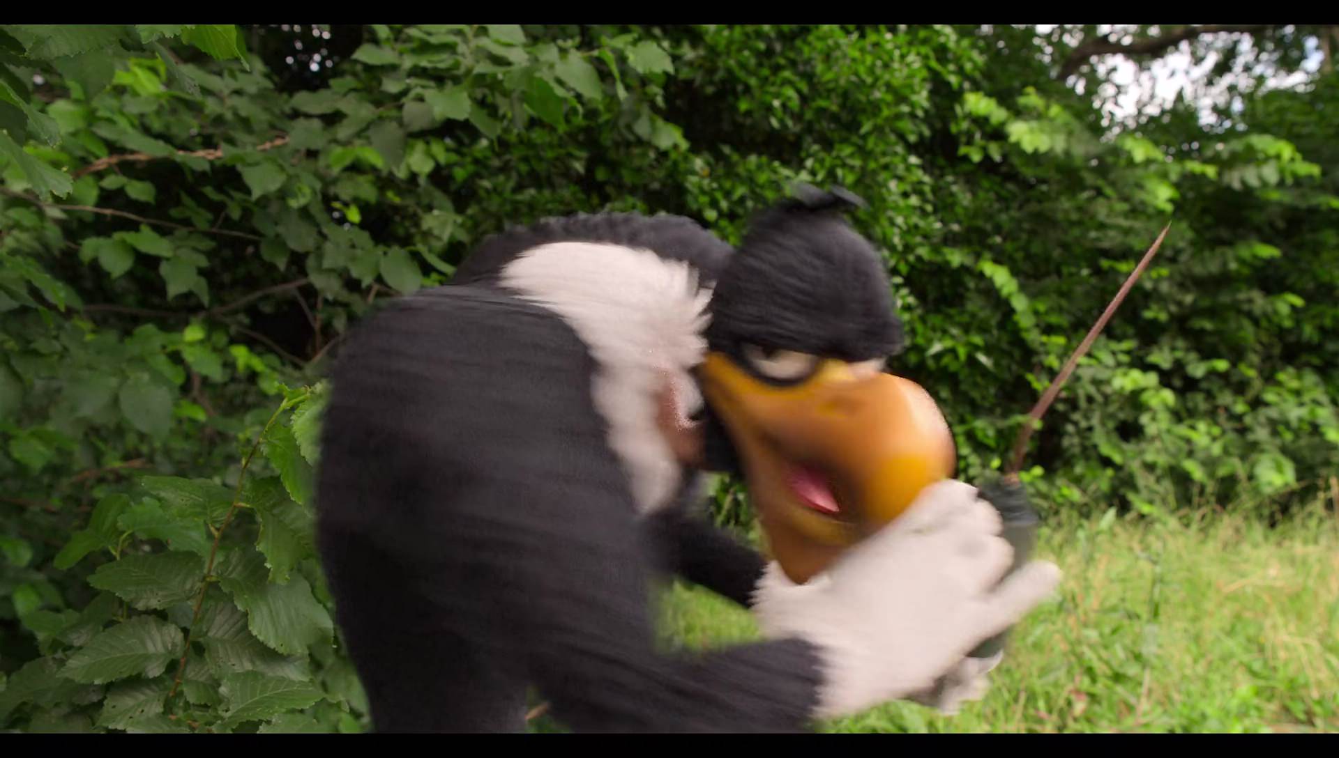 Woody Woodpecker Goes to Camp (2024) HD screenshot 6623