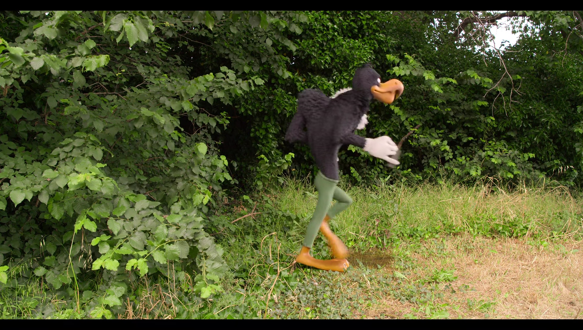 Woody Woodpecker Goes to Camp (2024) screencap 6624