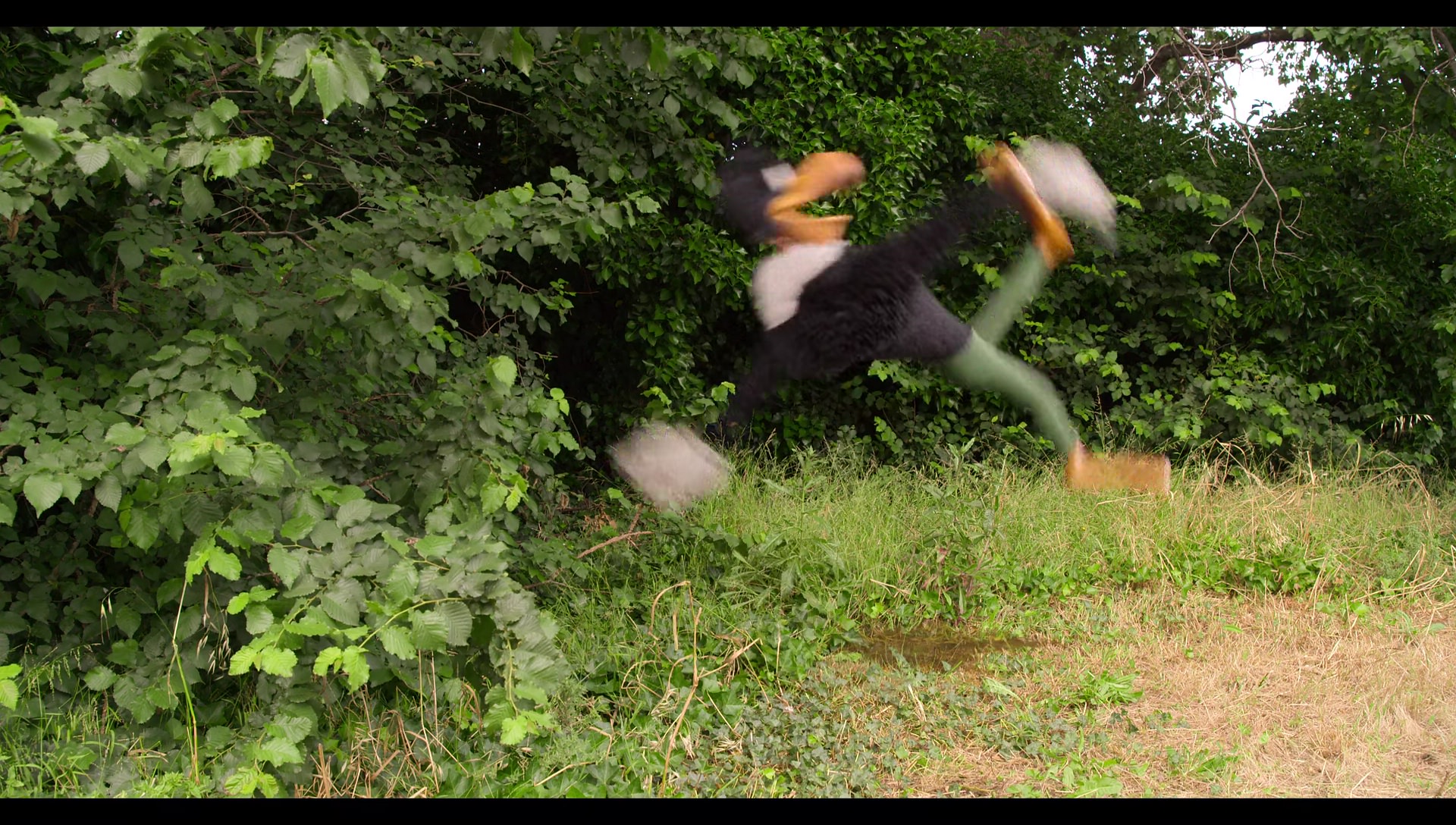 Woody Woodpecker Goes to Camp (2024) movie still 6625