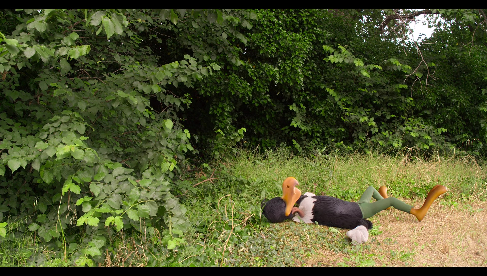 Woody Woodpecker Goes to Camp (2024) screencap 6627