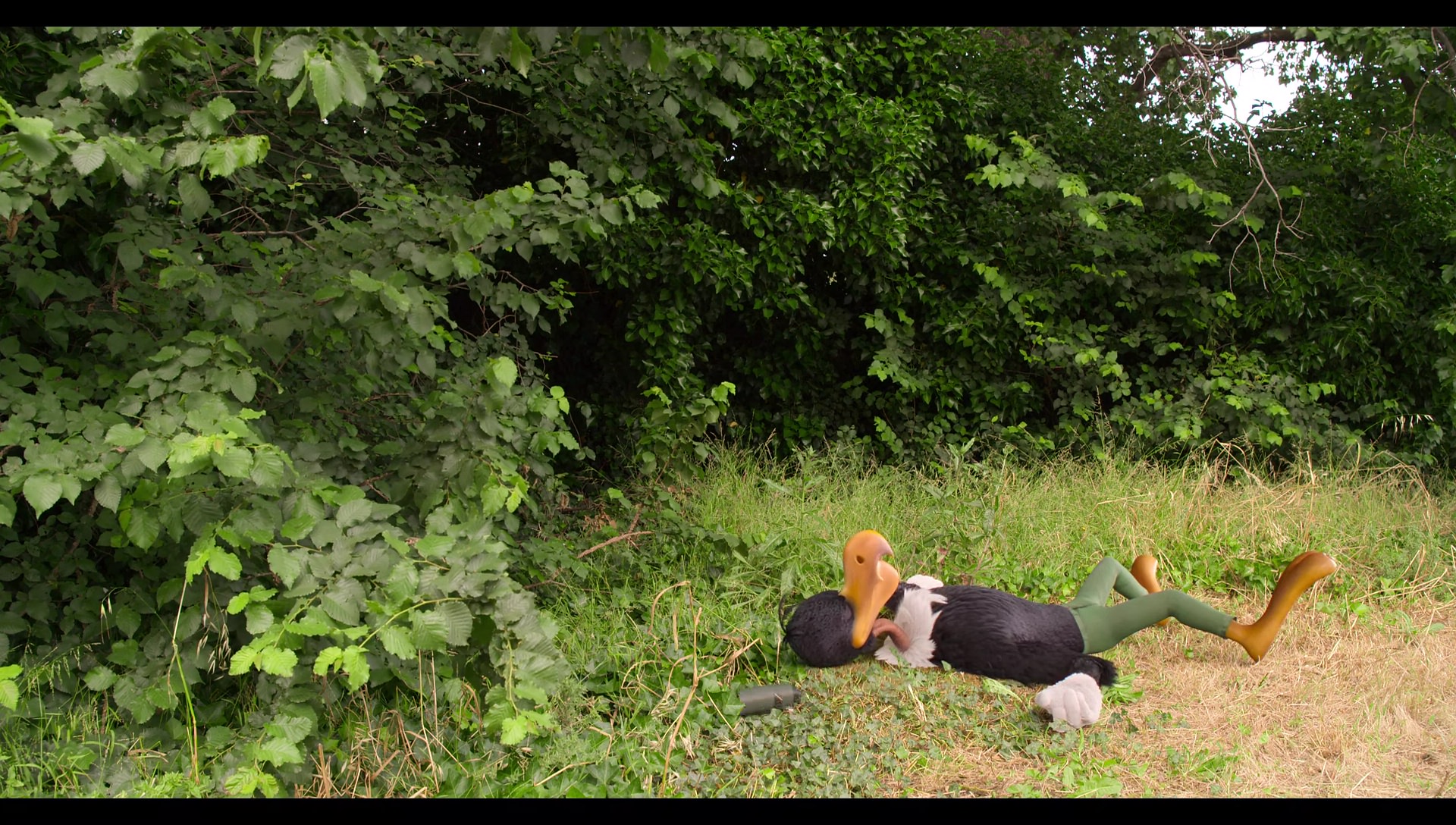 Woody Woodpecker Goes to Camp (2024) HD screenshot 6629