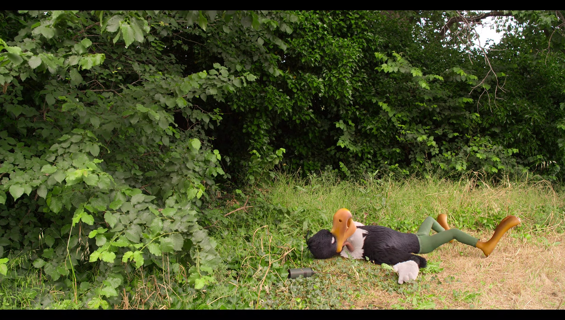 Woody Woodpecker Goes to Camp (2024) HD screenshot 6632