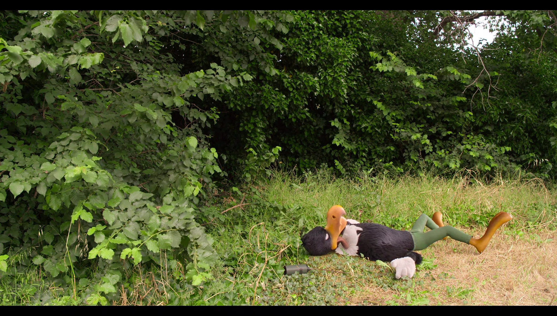 Woody Woodpecker Goes to Camp (2024) screencap 6633
