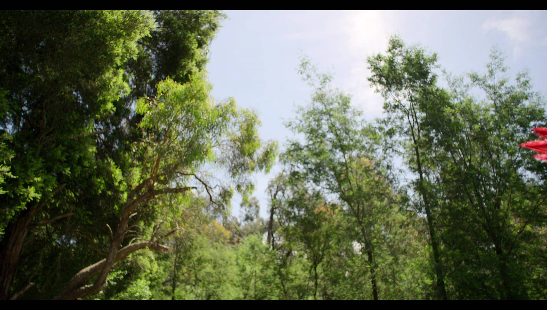 Woody Woodpecker Goes to Camp (2024) HD screenshot 6821