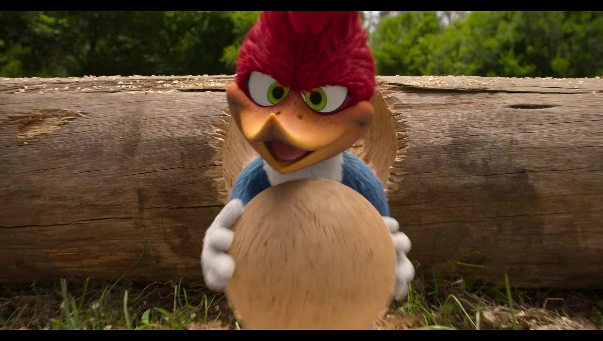Woody Woodpecker Goes to Camp (2024) movie still 73