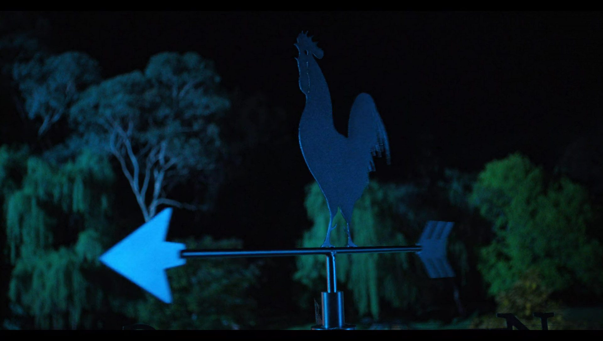 Woody Woodpecker Goes to Camp (2024) HD screenshot 7568