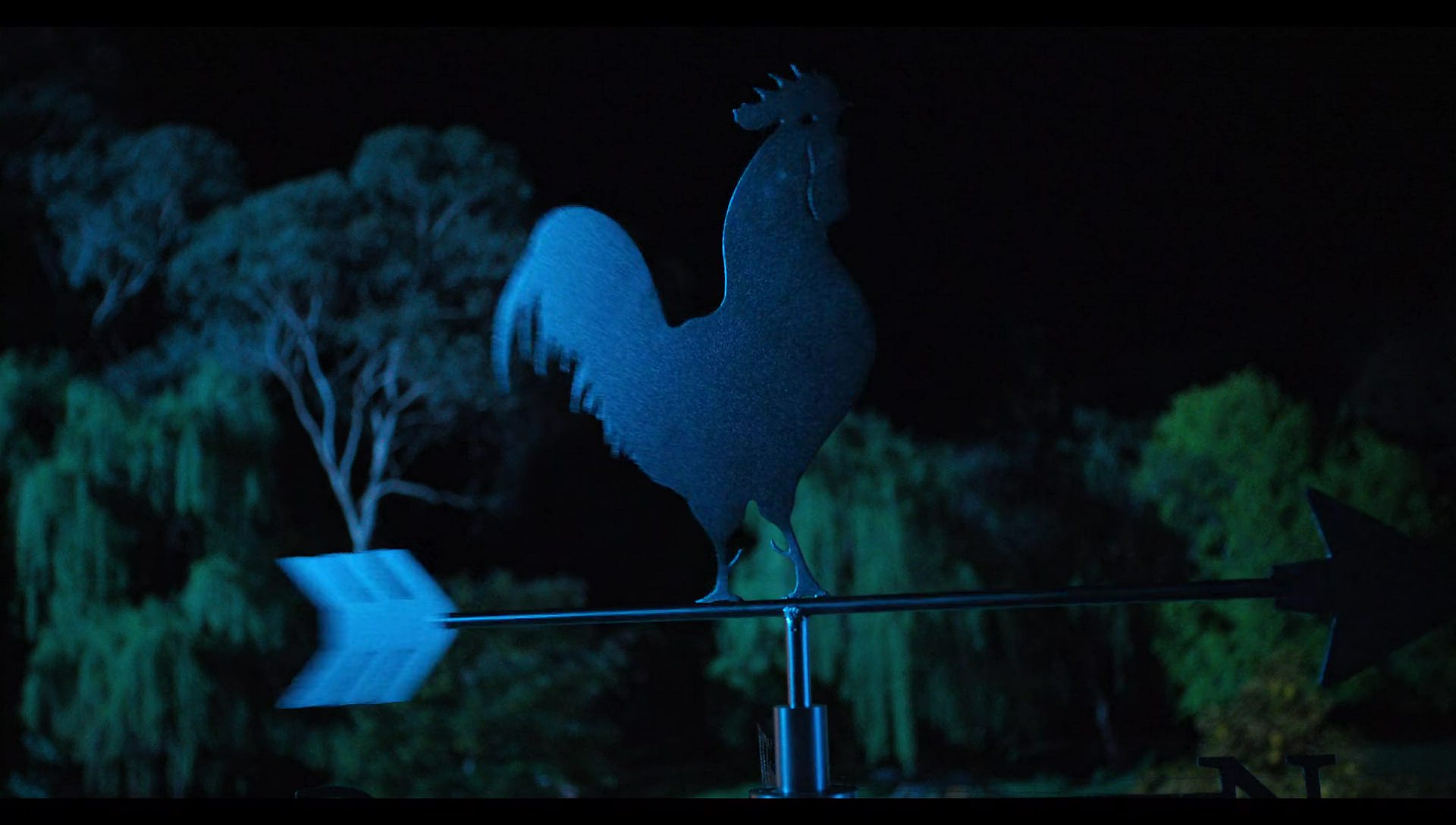 Woody Woodpecker Goes to Camp (2024) movie still 7570
