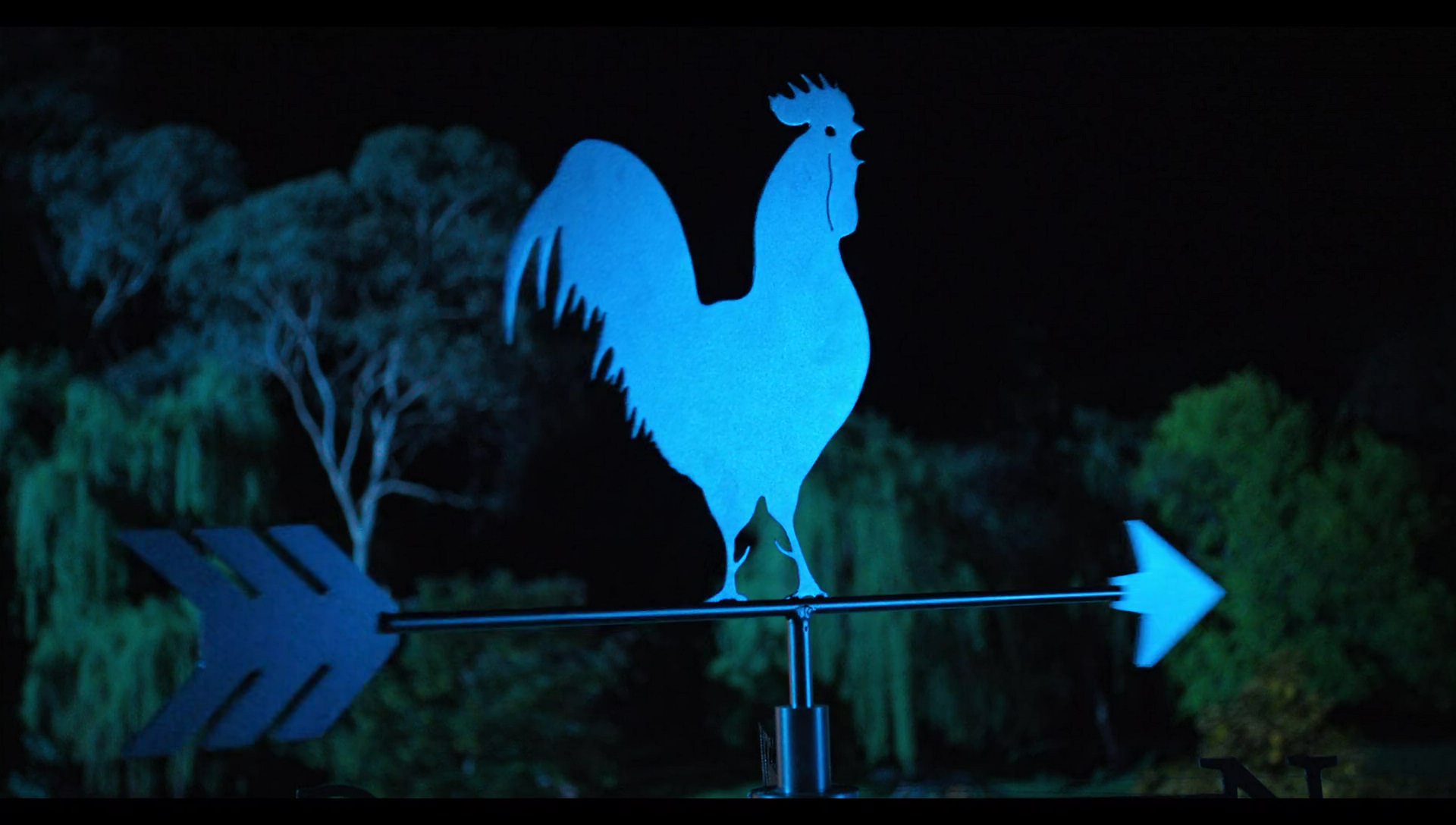 Woody Woodpecker Goes to Camp (2024) HD screenshot 7571