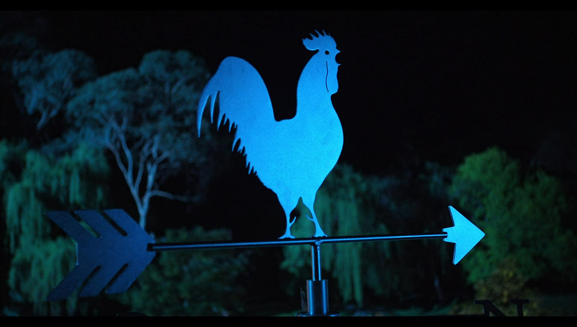 Woody Woodpecker Goes to Camp (2024) movie still 7573