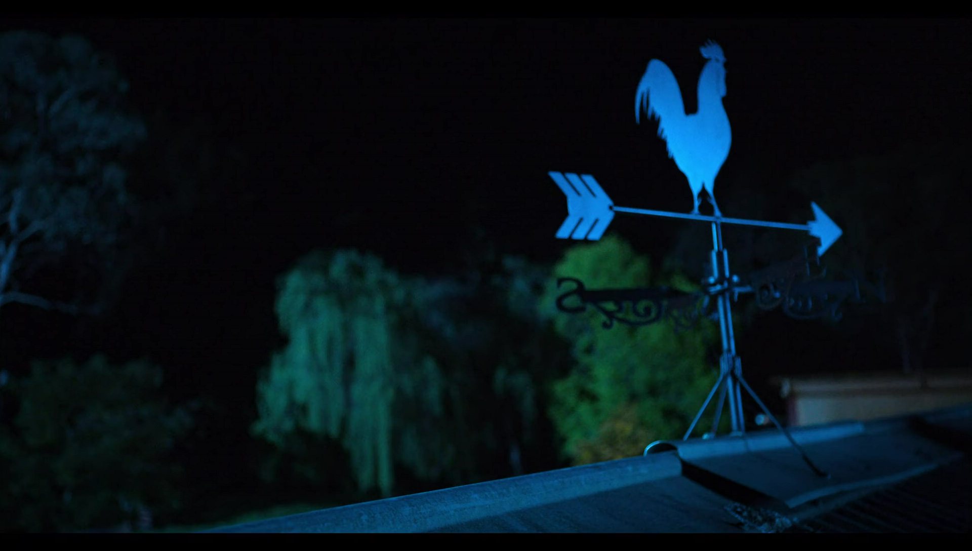 Woody Woodpecker Goes to Camp (2024) movie still 7609