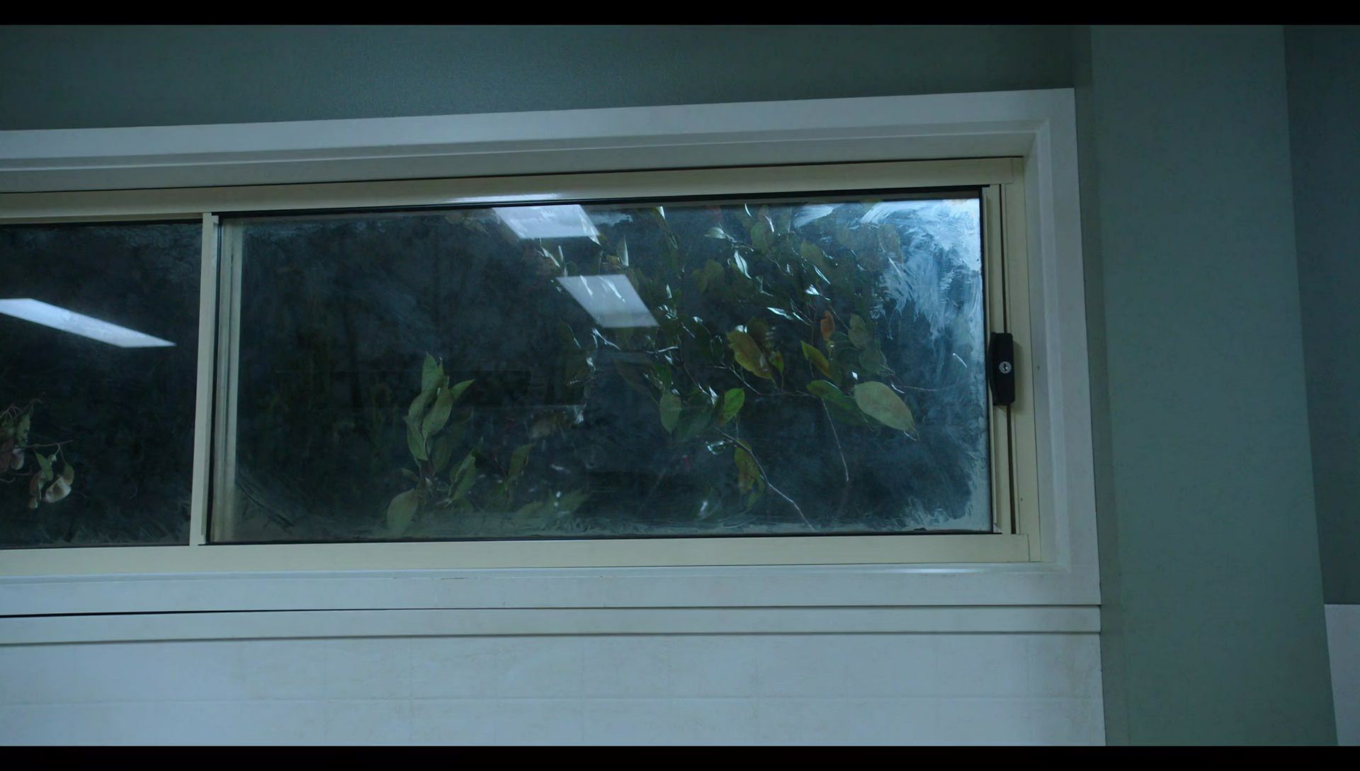 Woody Woodpecker Goes to Camp (2024) HD screenshot 7610