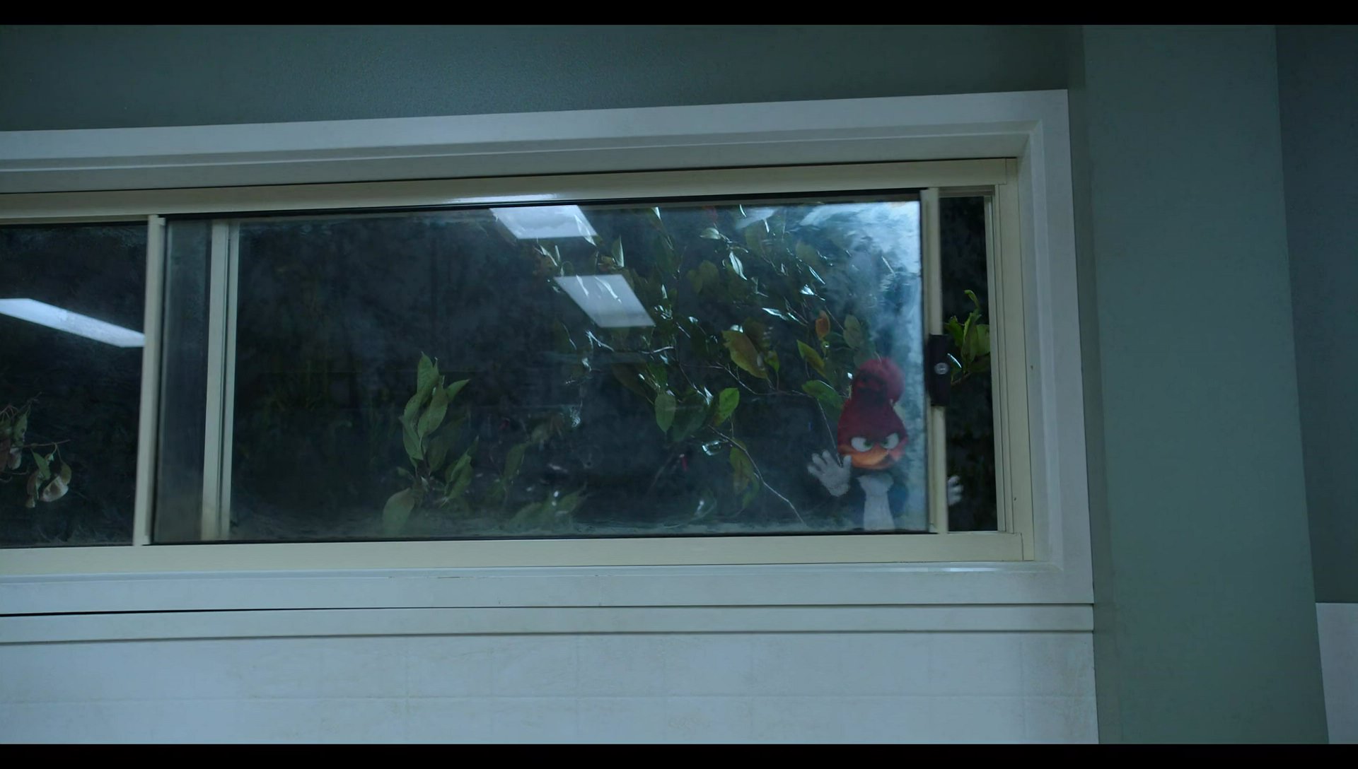 Woody Woodpecker Goes to Camp (2024) screencap 7614