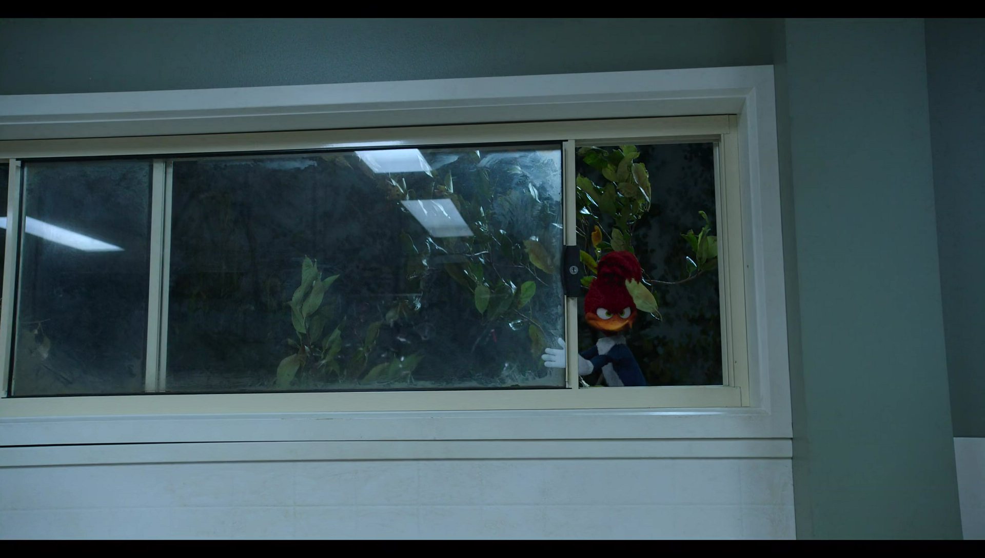 Woody Woodpecker Goes to Camp (2024) HD screenshot 7616