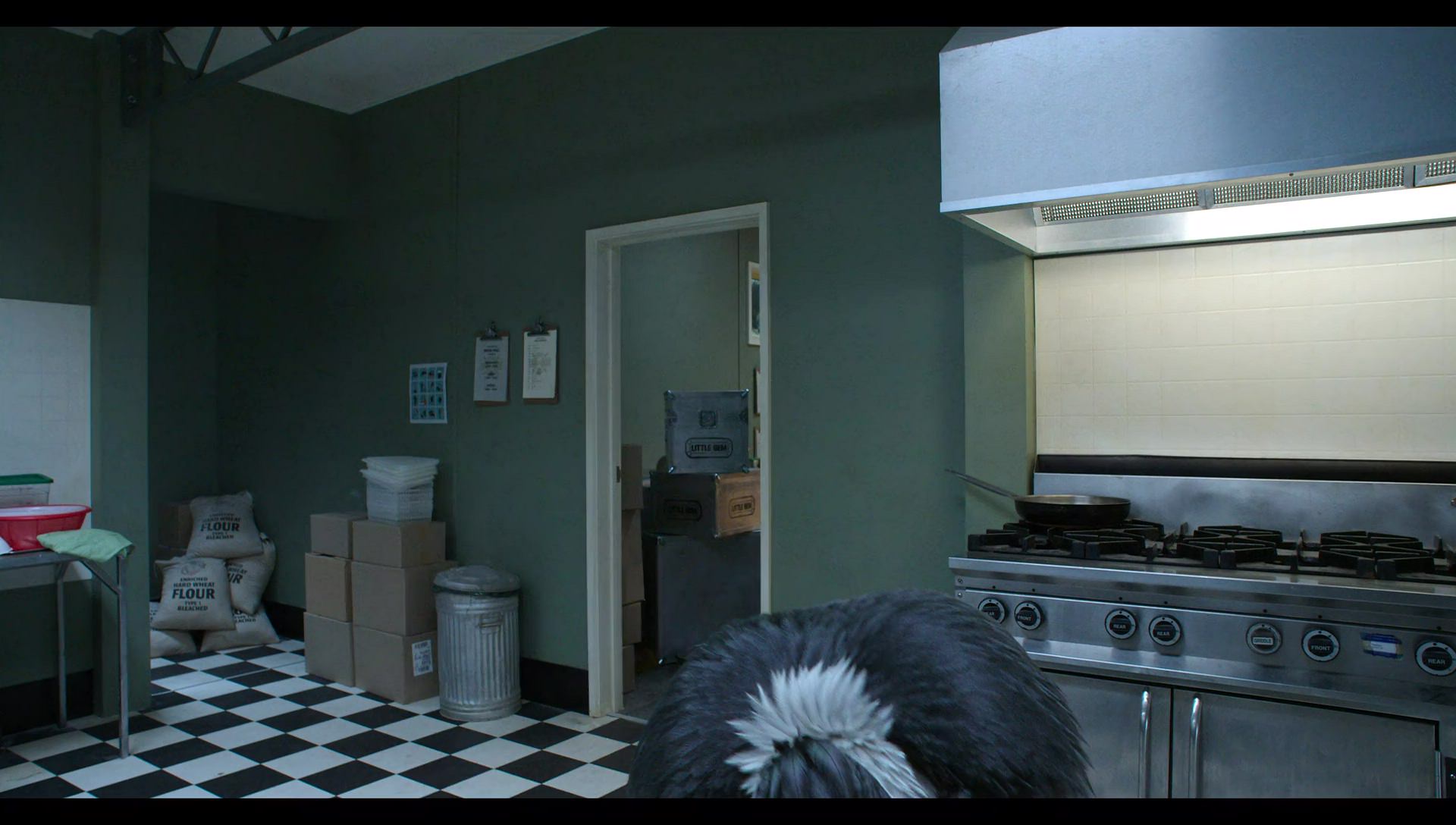 Woody Woodpecker Goes to Camp (2024) screencap 7794