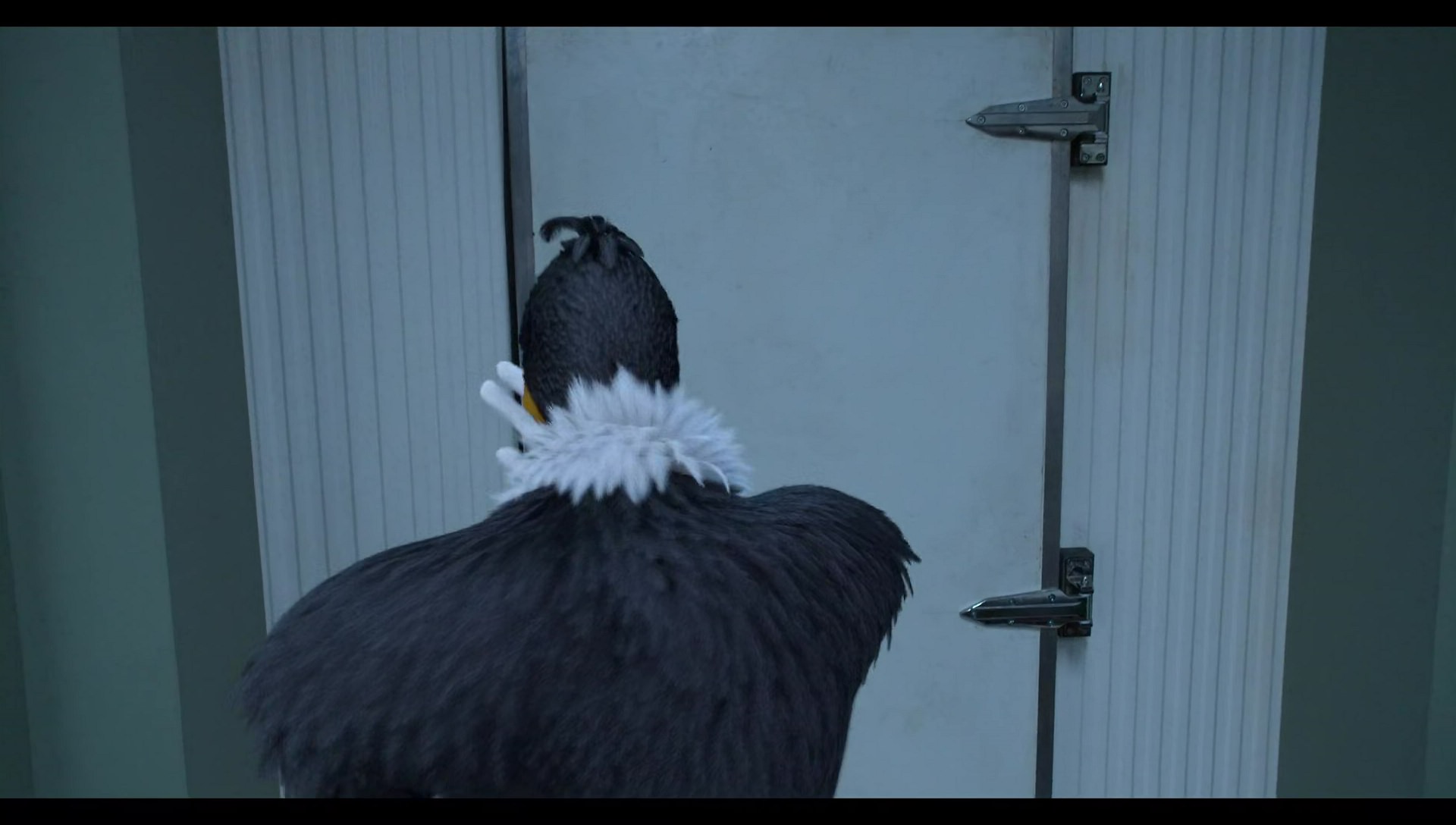 Woody Woodpecker Goes to Camp (2024) HD screenshot 7853