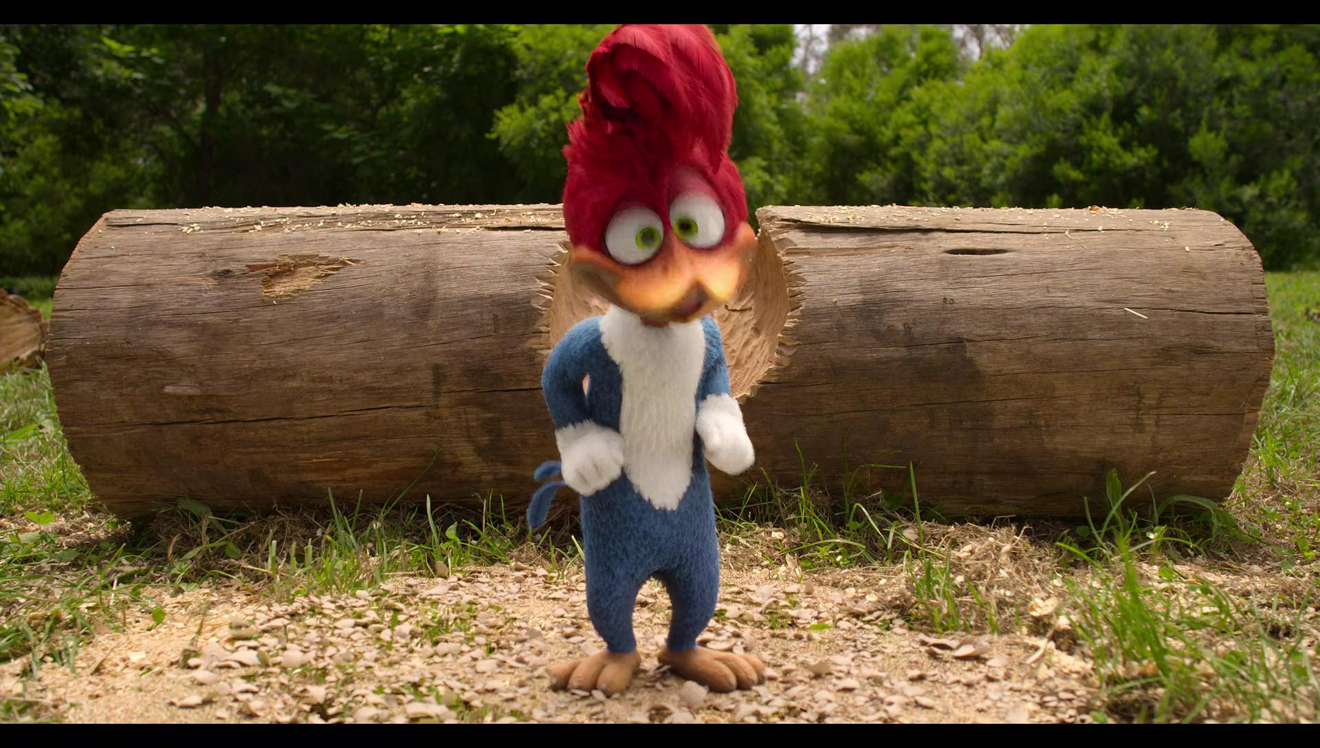 Woody Woodpecker Goes to Camp (2024) movie still 79