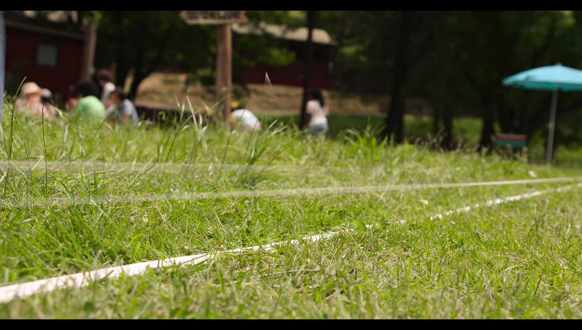 Woody Woodpecker Goes to Camp (2024) HD screenshot 839