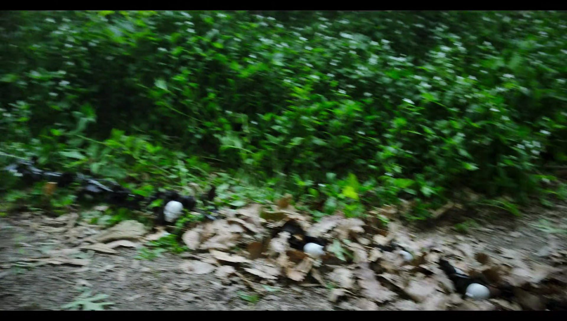 Woody Woodpecker Goes to Camp (2024) movie still 8839