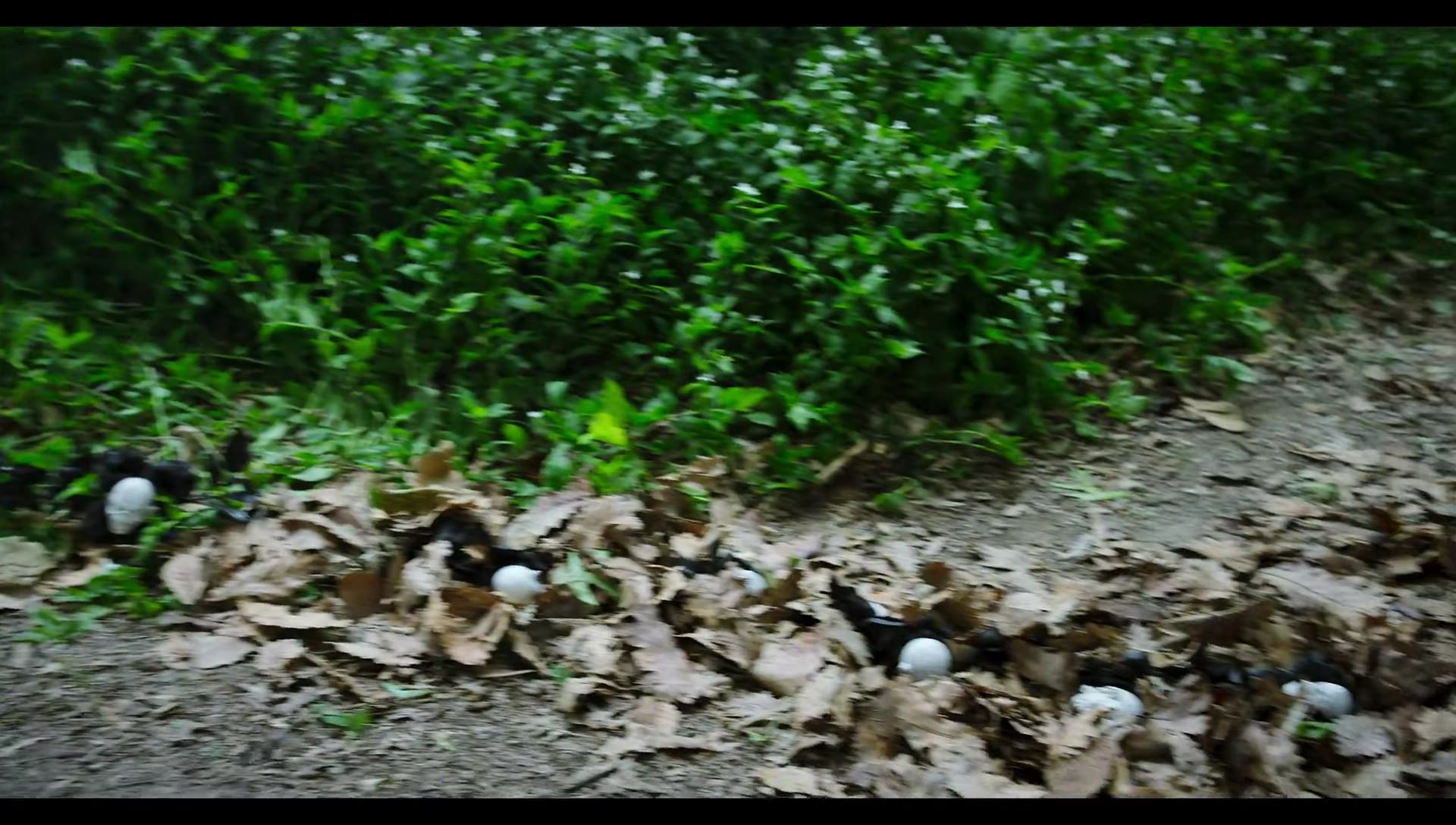 Woody Woodpecker Goes to Camp (2024) HD screenshot 8840