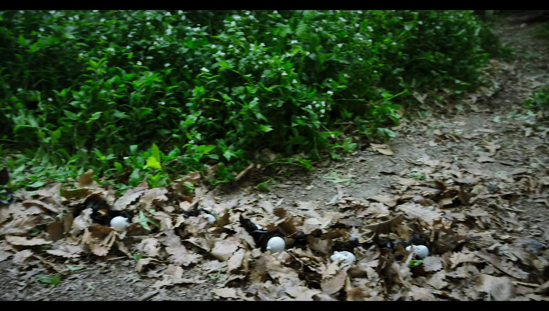 Woody Woodpecker Goes to Camp (2024) screencap 8841