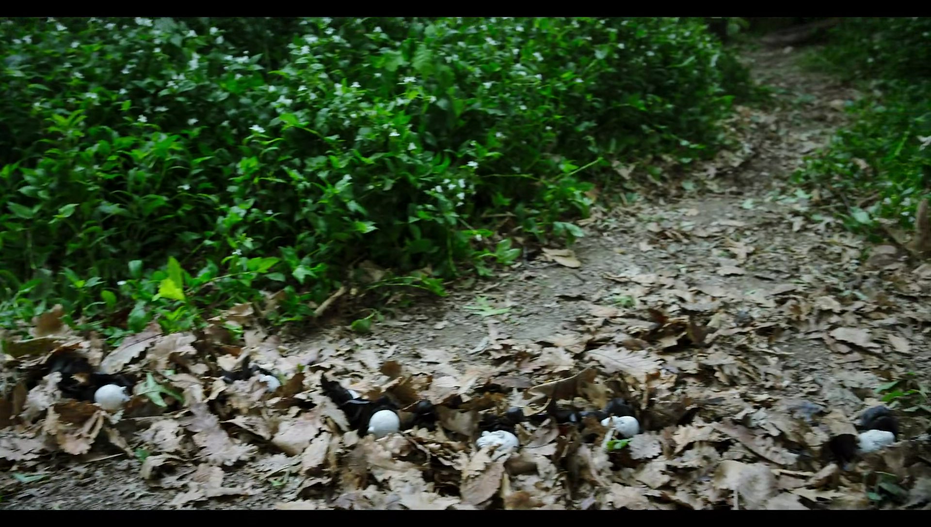 Woody Woodpecker Goes to Camp (2024) movie still 8842