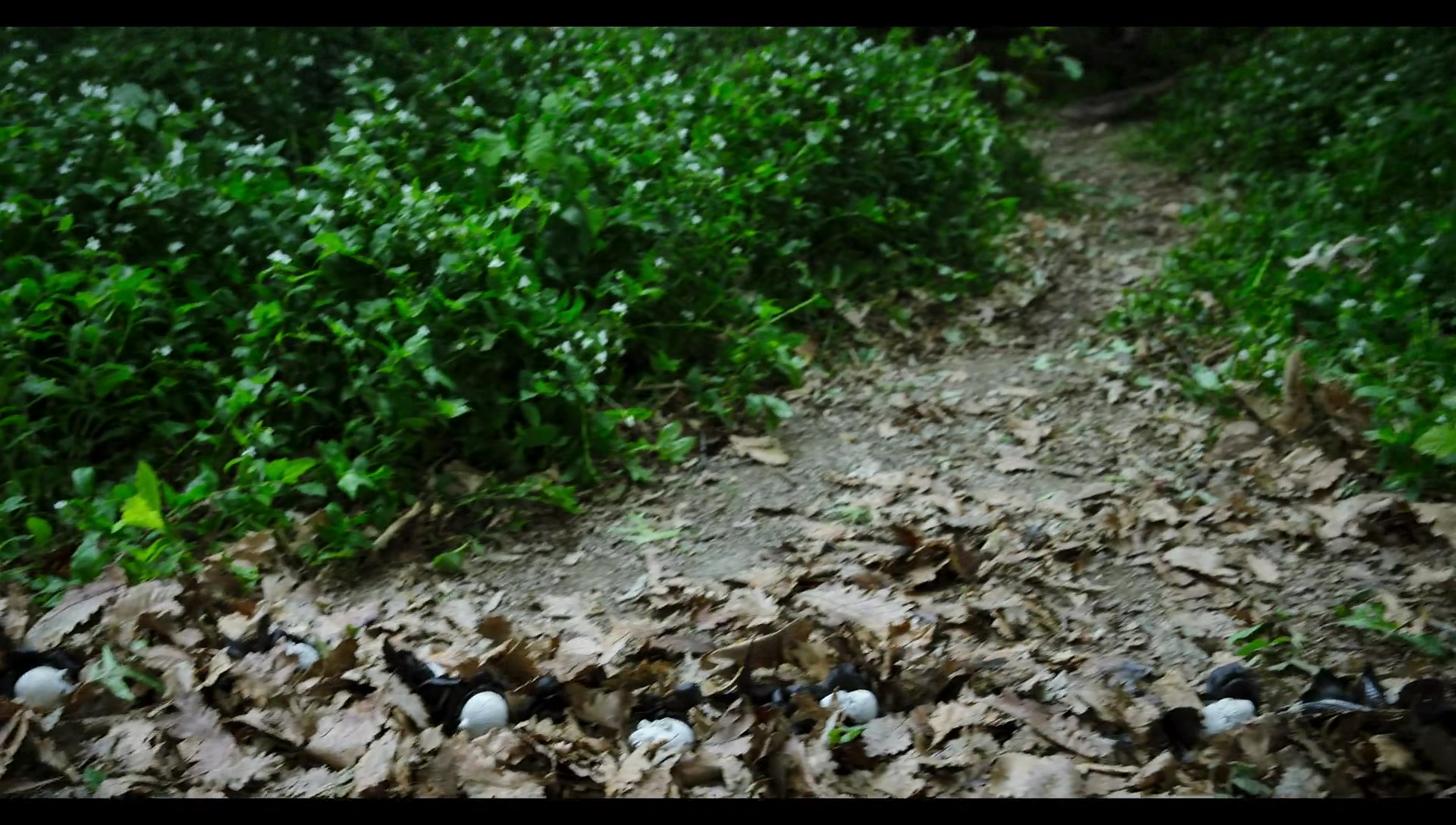 Woody Woodpecker Goes to Camp (2024) HD screenshot 8843