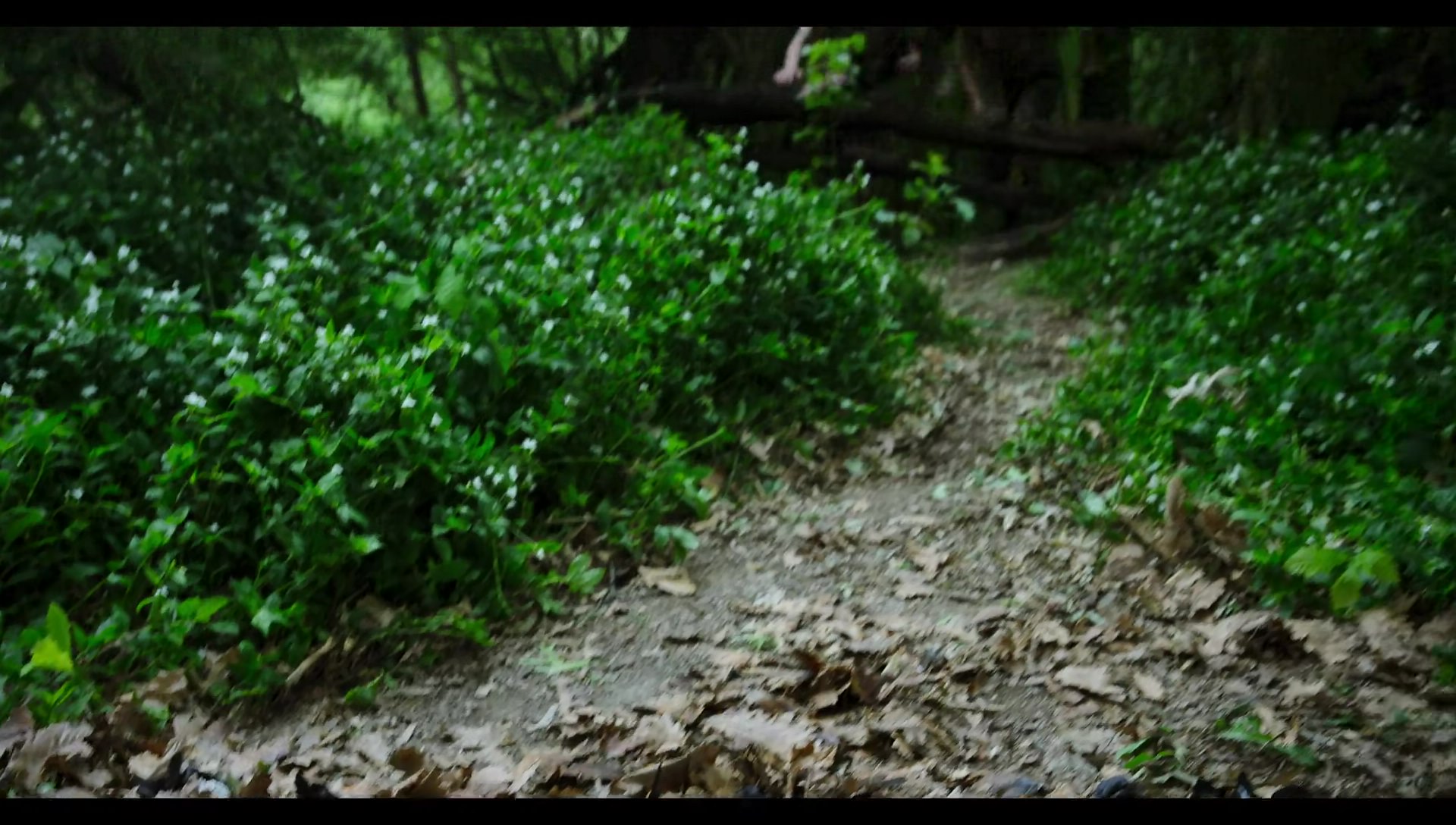 Woody Woodpecker Goes to Camp (2024) screencap 8844
