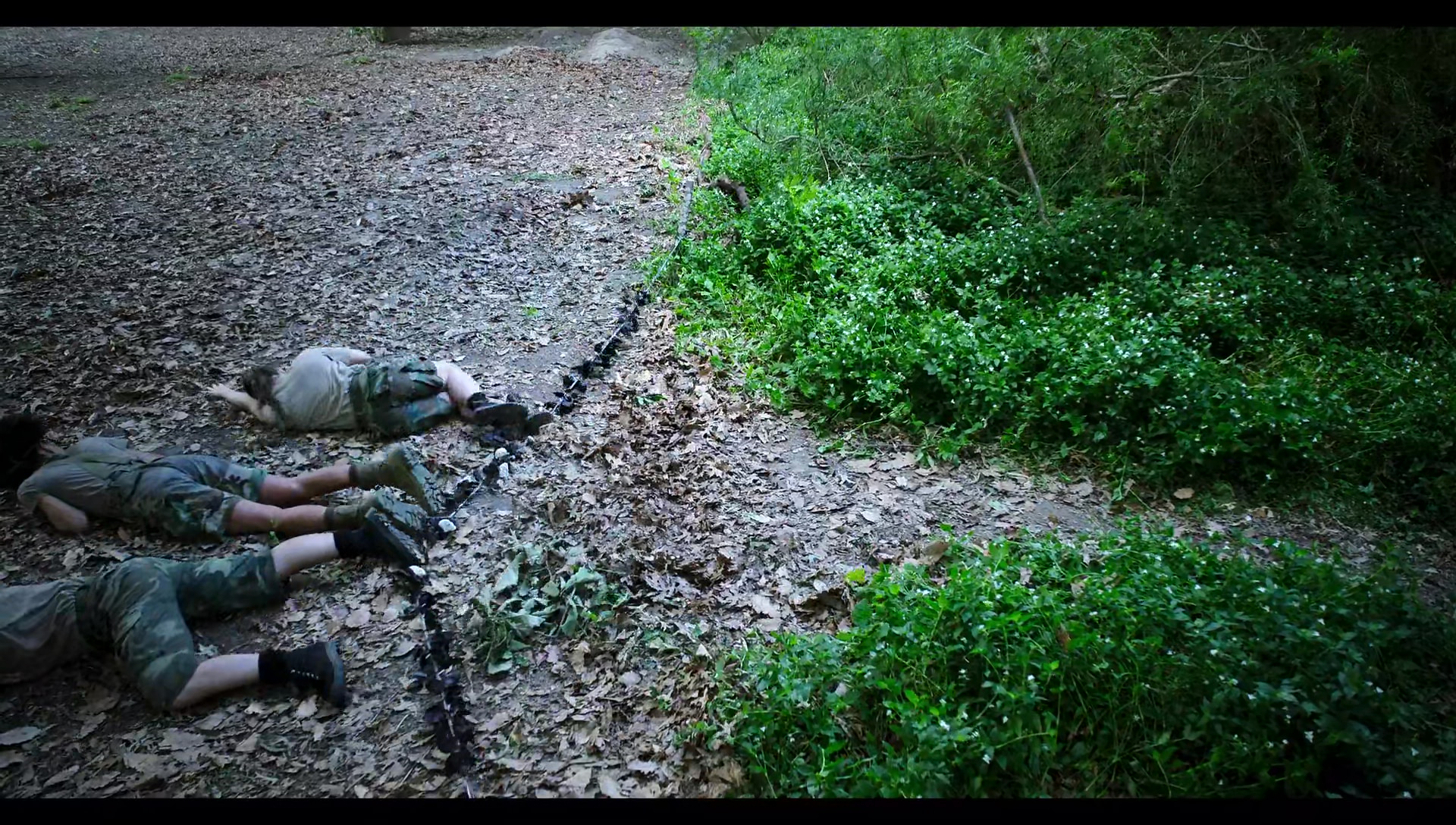 Woody Woodpecker Goes to Camp (2024) HD screenshot 8855