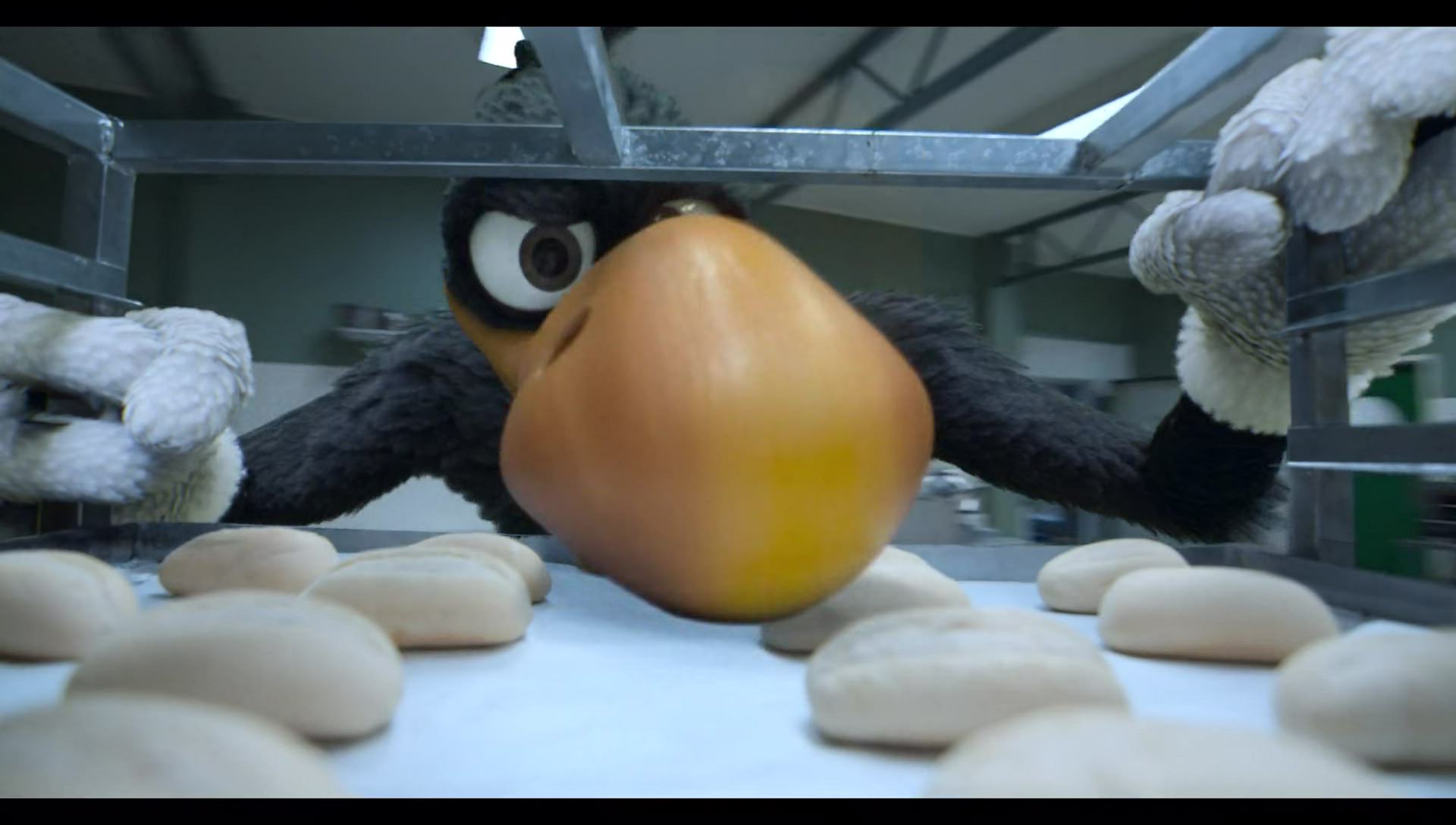 Woody Woodpecker Goes to Camp (2024) HD screenshot 8987