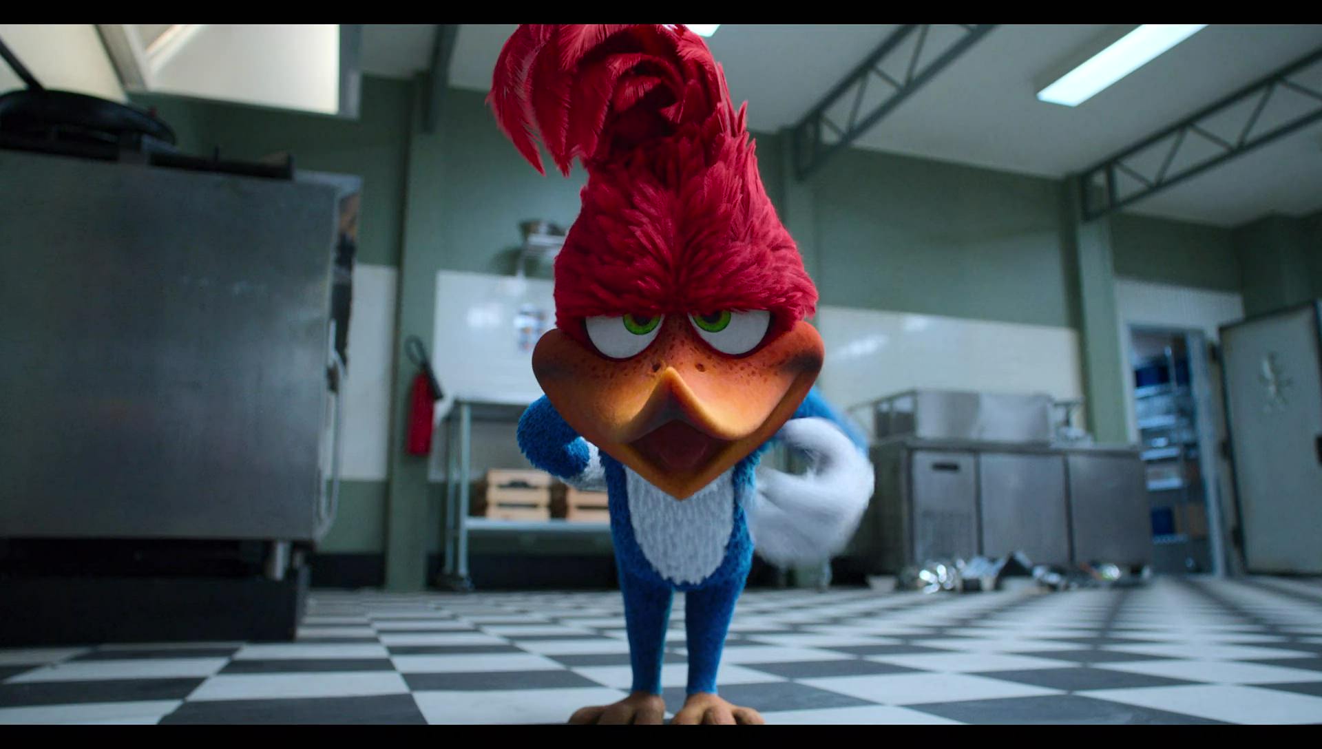 Woody Woodpecker Goes to Camp (2024) movie still 9019