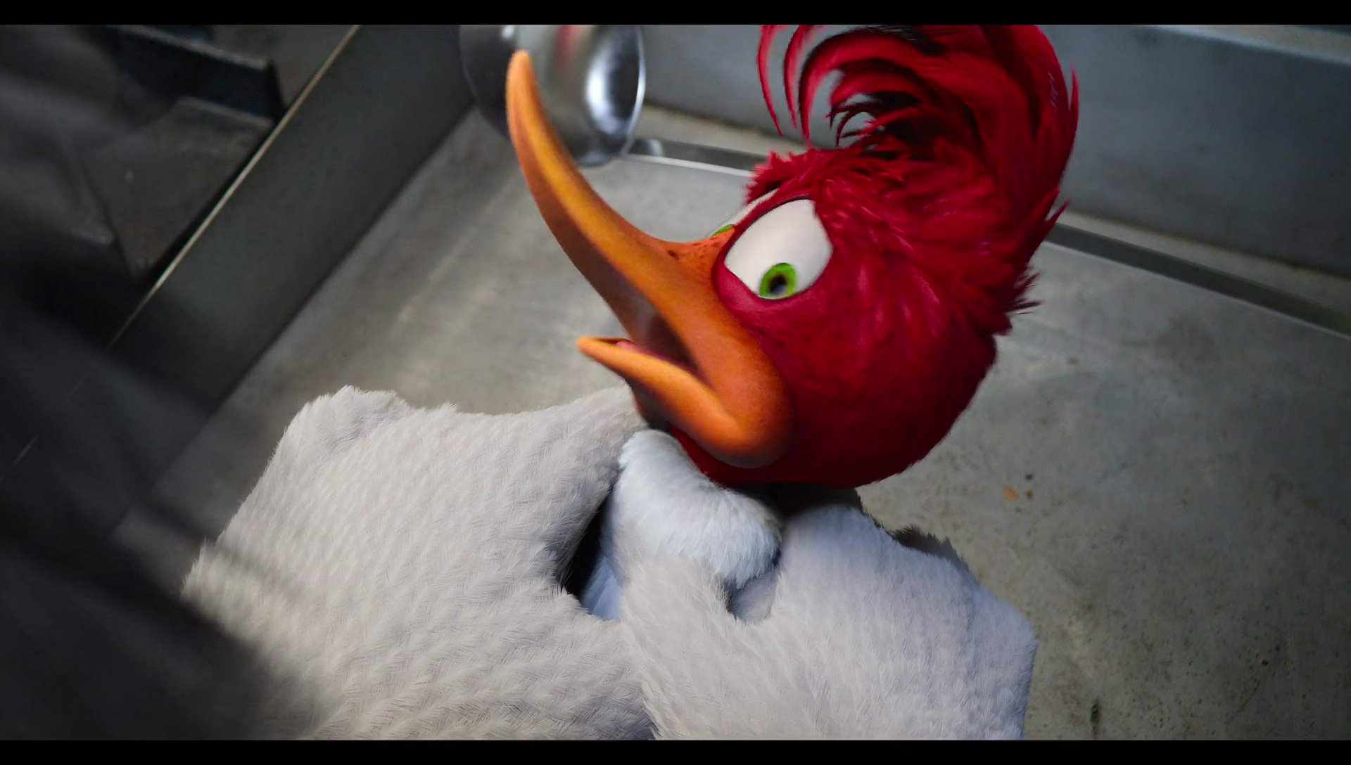 Woody Woodpecker Goes to Camp (2024) HD screenshot 9074