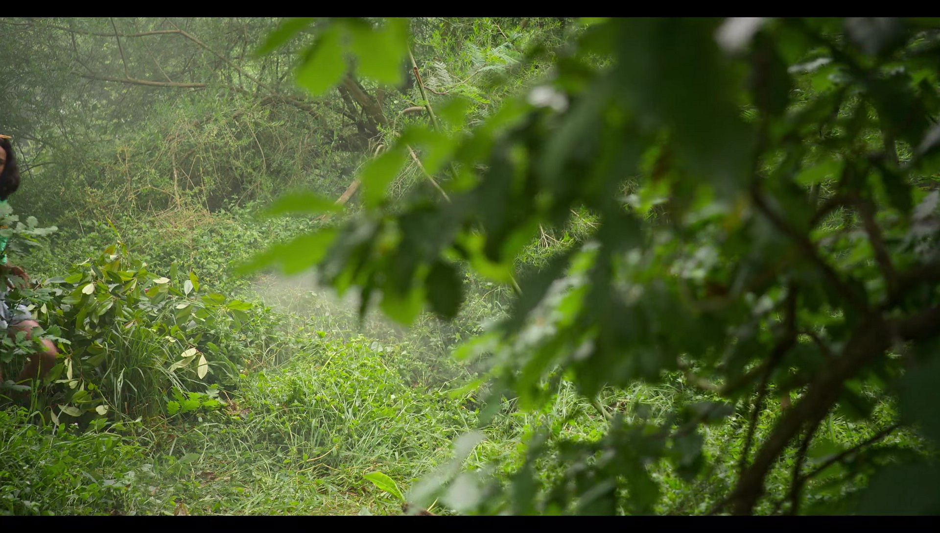 Woody Woodpecker Goes to Camp (2024) HD screenshot 9107