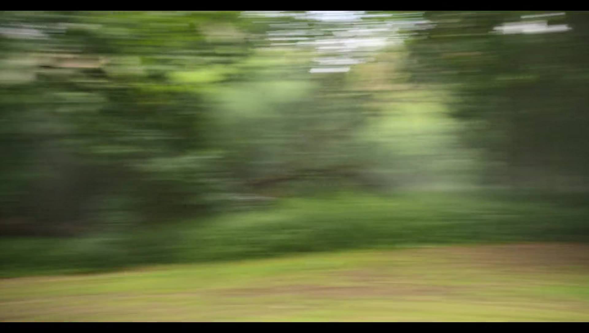Woody Woodpecker Goes to Camp (2024) screencap 9165