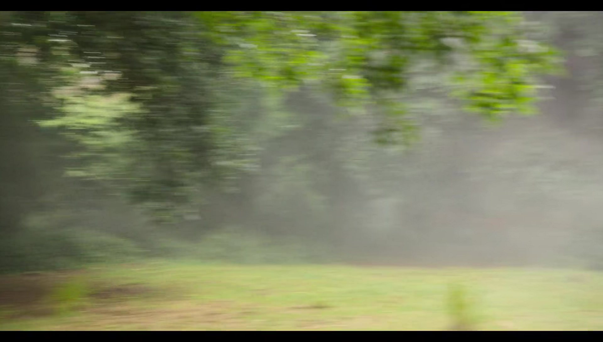 Woody Woodpecker Goes to Camp (2024) movie still 9166