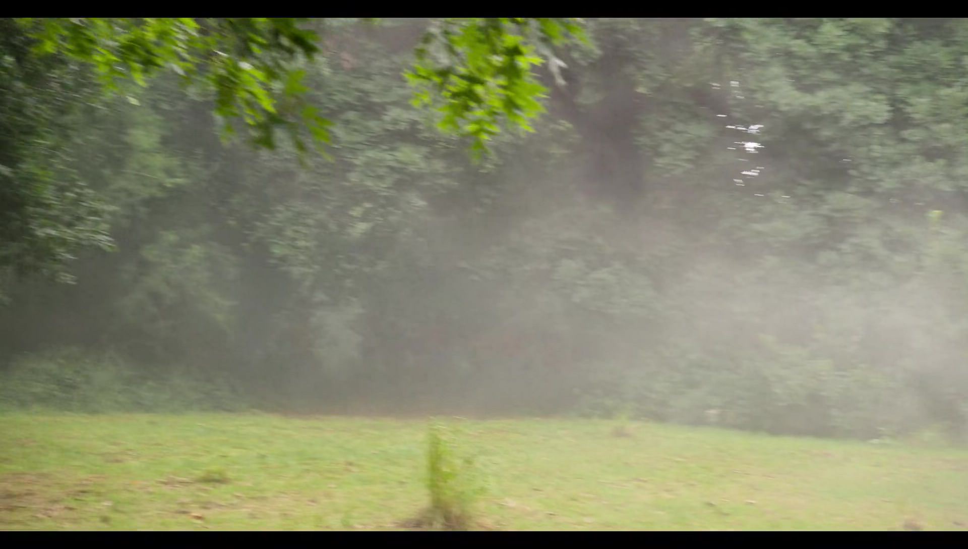 Woody Woodpecker Goes to Camp (2024) HD screenshot 9167