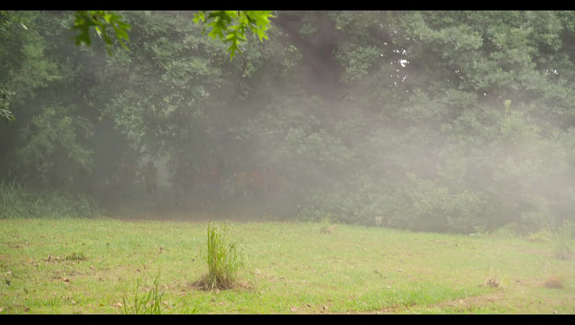 Woody Woodpecker Goes to Camp (2024) screencap 9168