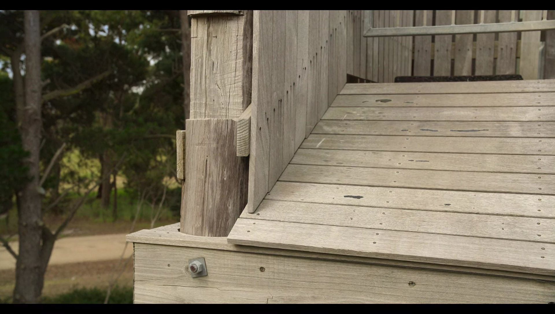 Woody Woodpecker Goes to Camp (2024) HD screenshot 9698