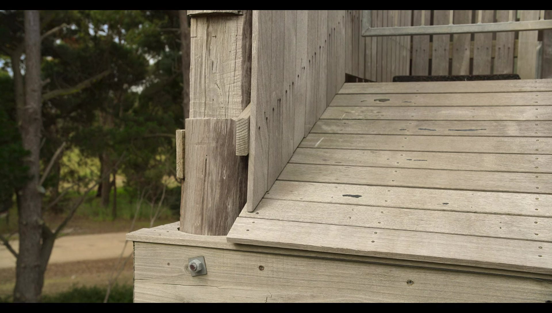 Woody Woodpecker Goes to Camp (2024) HD screenshot 9704