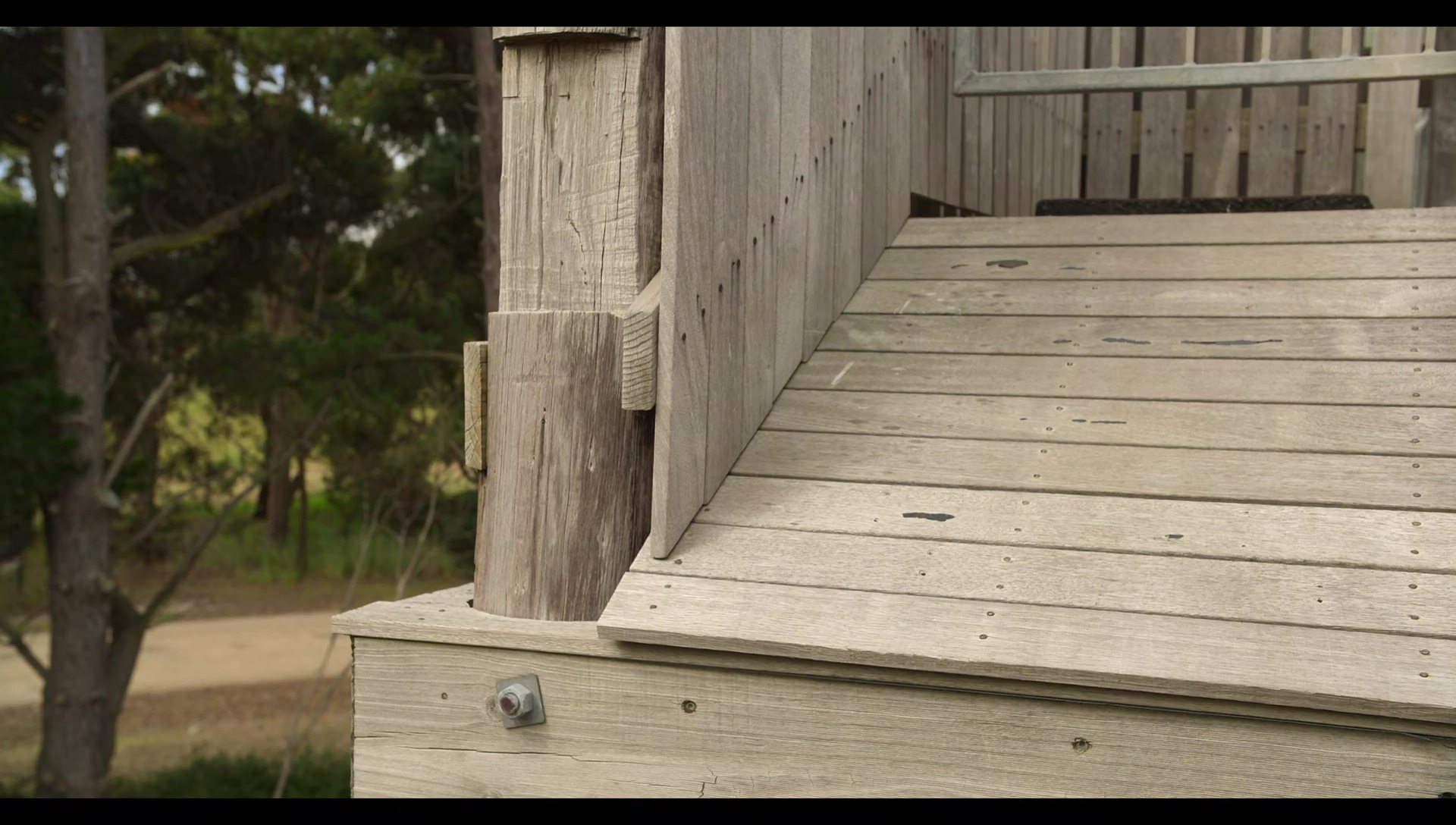 Woody Woodpecker Goes to Camp (2024) HD screenshot 9707