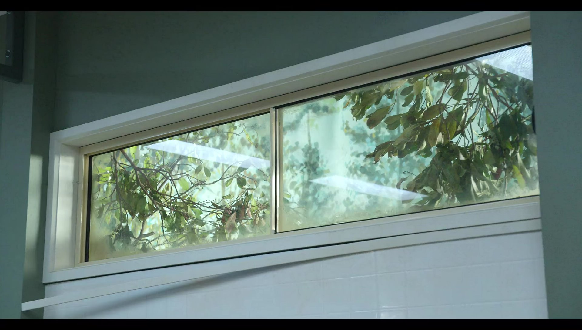 Woody Woodpecker Goes to Camp (2024) screencap 9906