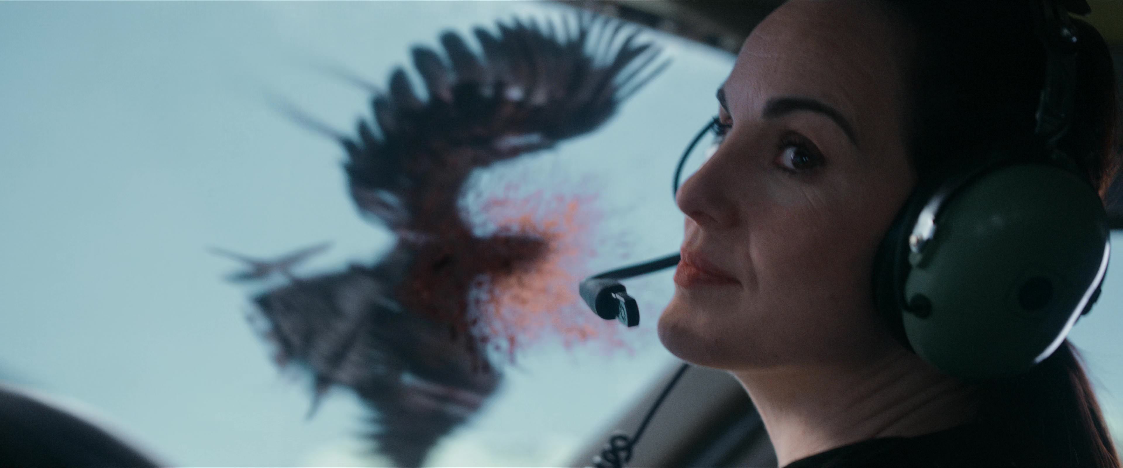 Flight Risk (2025) [4K] movie still 1759