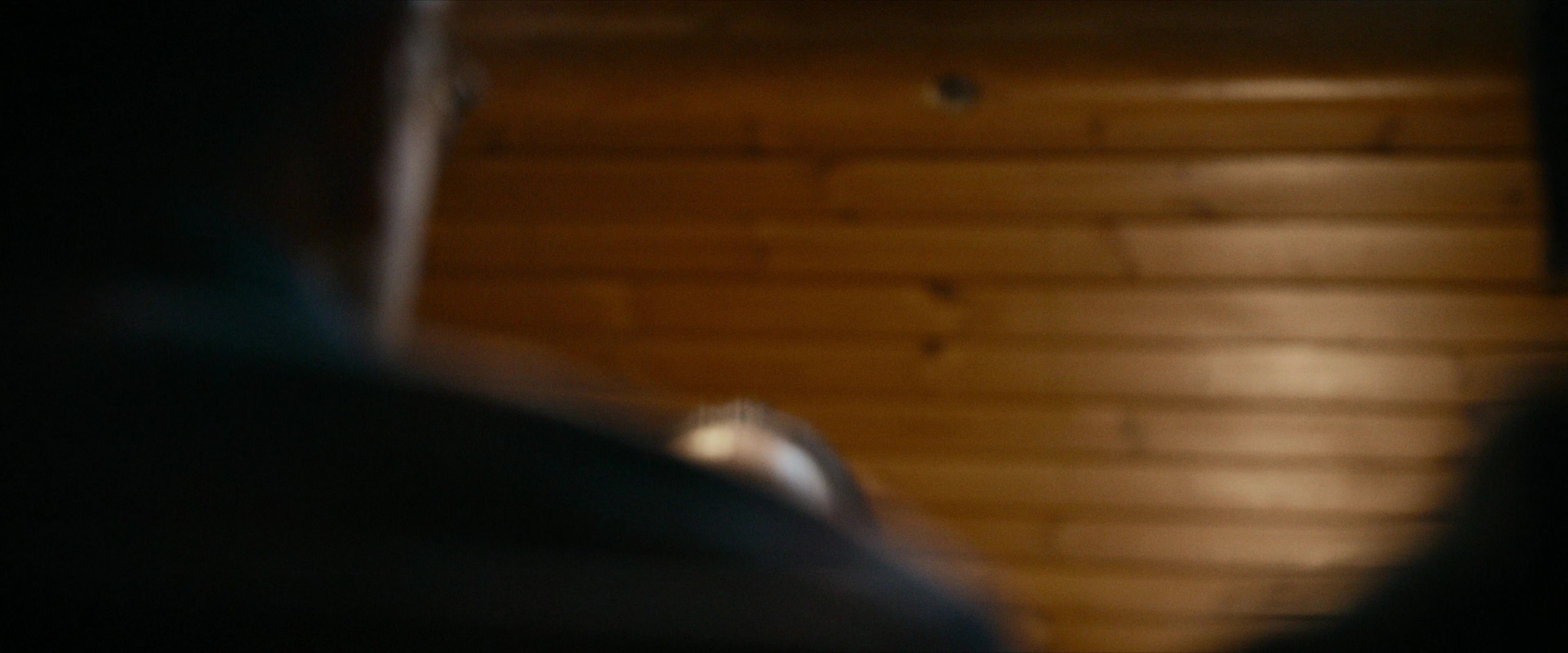 Flight Risk (2025) [4K] screencap 183