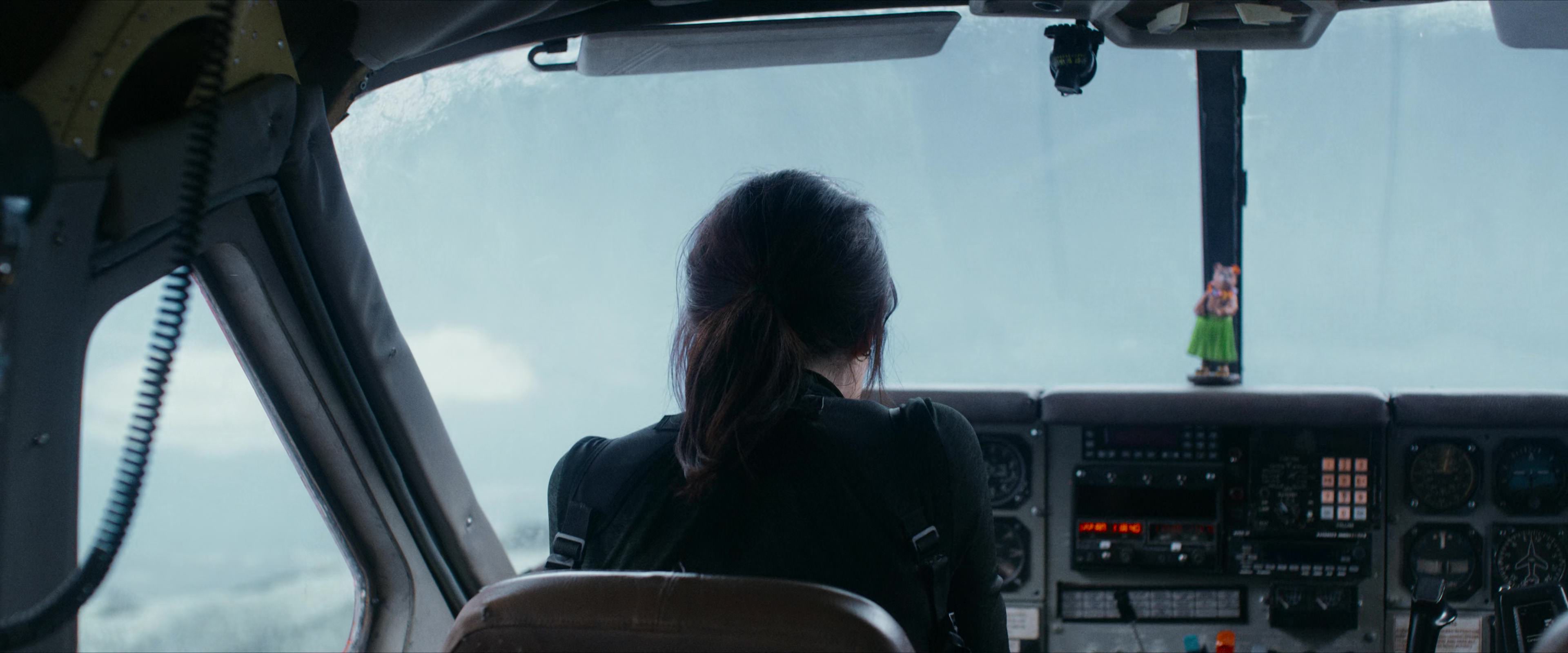 Flight Risk (2025) [4K] screencap 3306