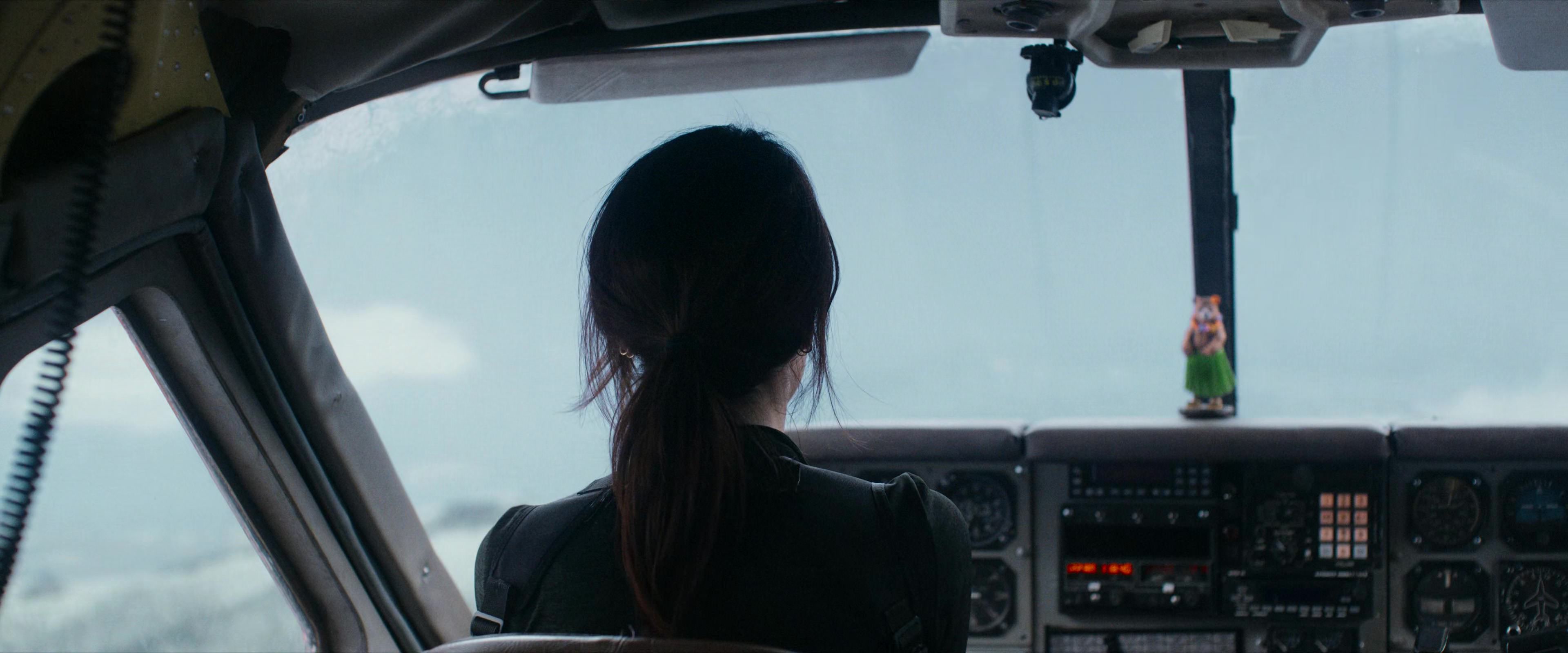 Flight Risk (2025) [4K] HD screenshot 3347