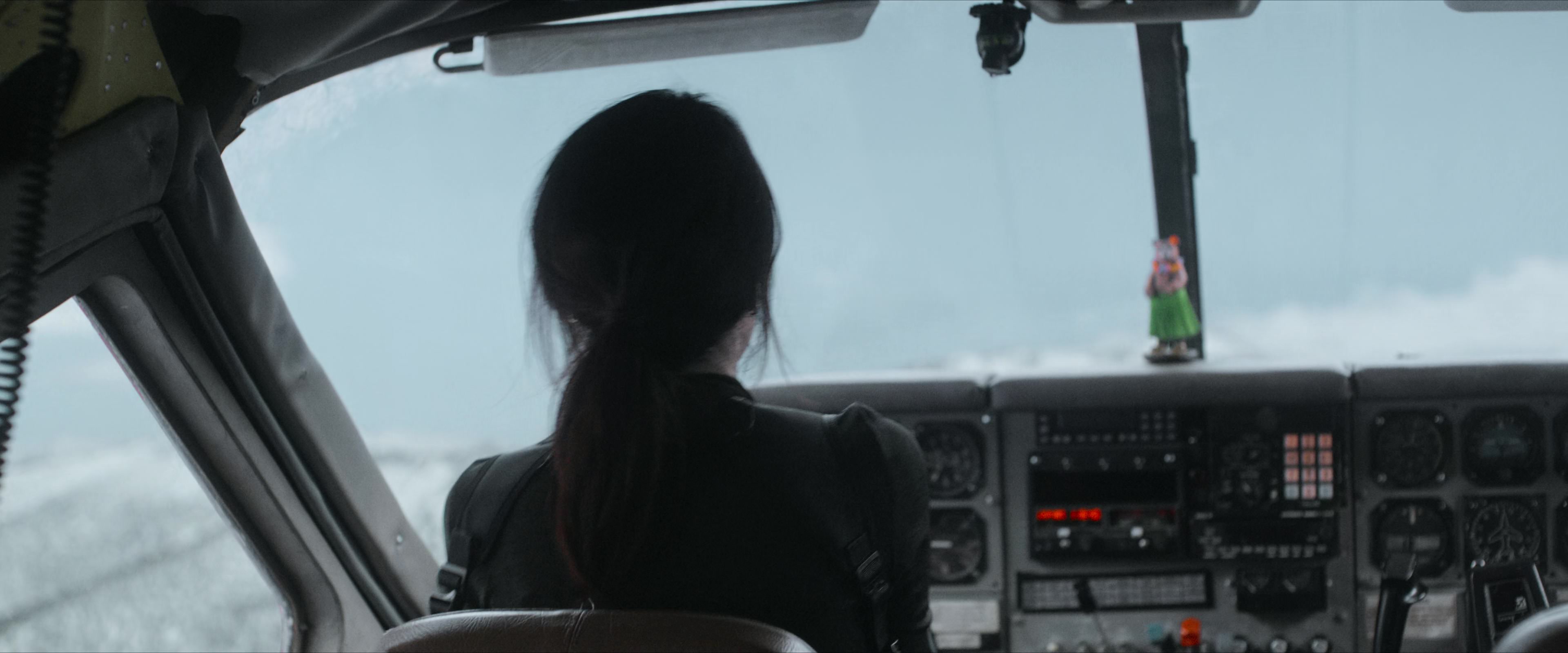Flight Risk (2025) [4K] movie still 3361