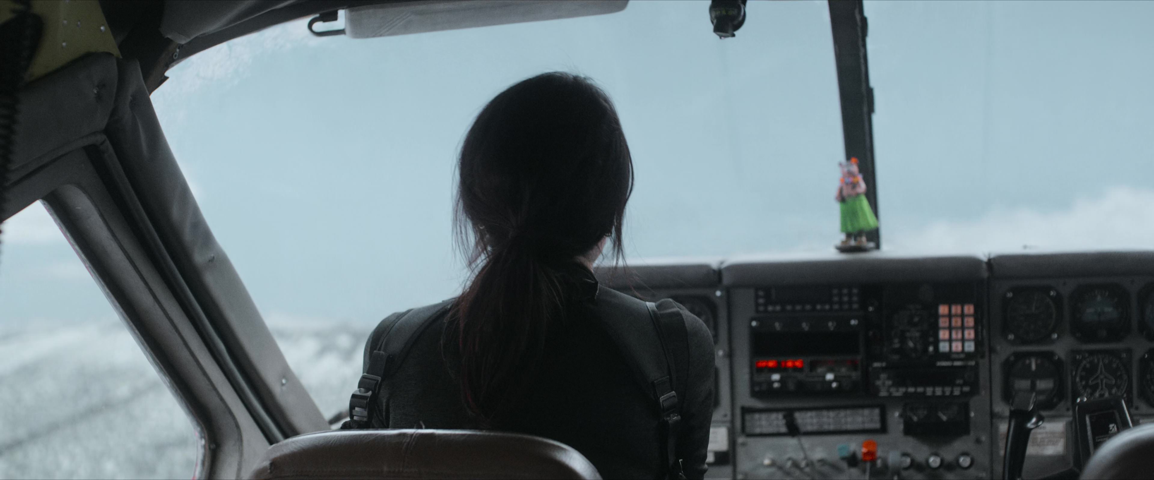 Flight Risk (2025) [4K] HD screenshot 3362