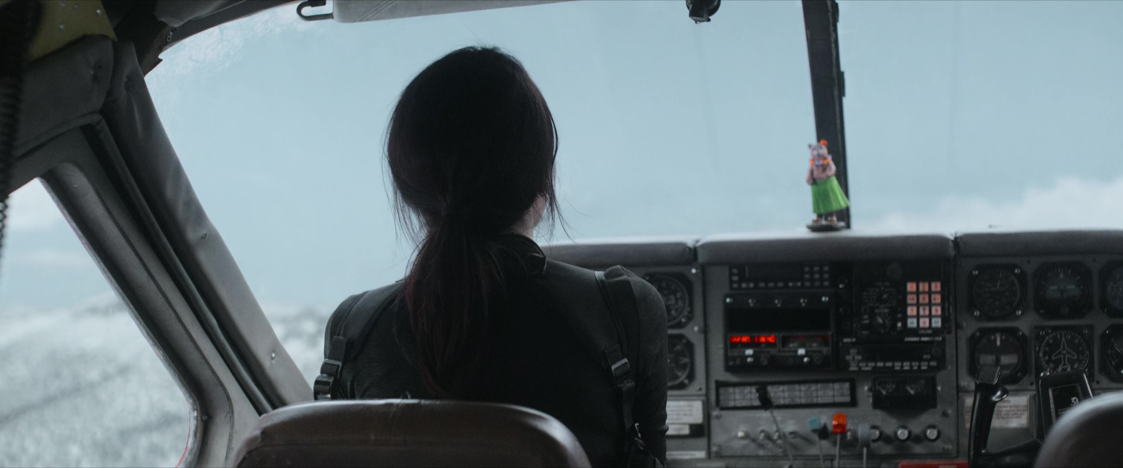 Flight Risk (2025) [4K] movie still 3364