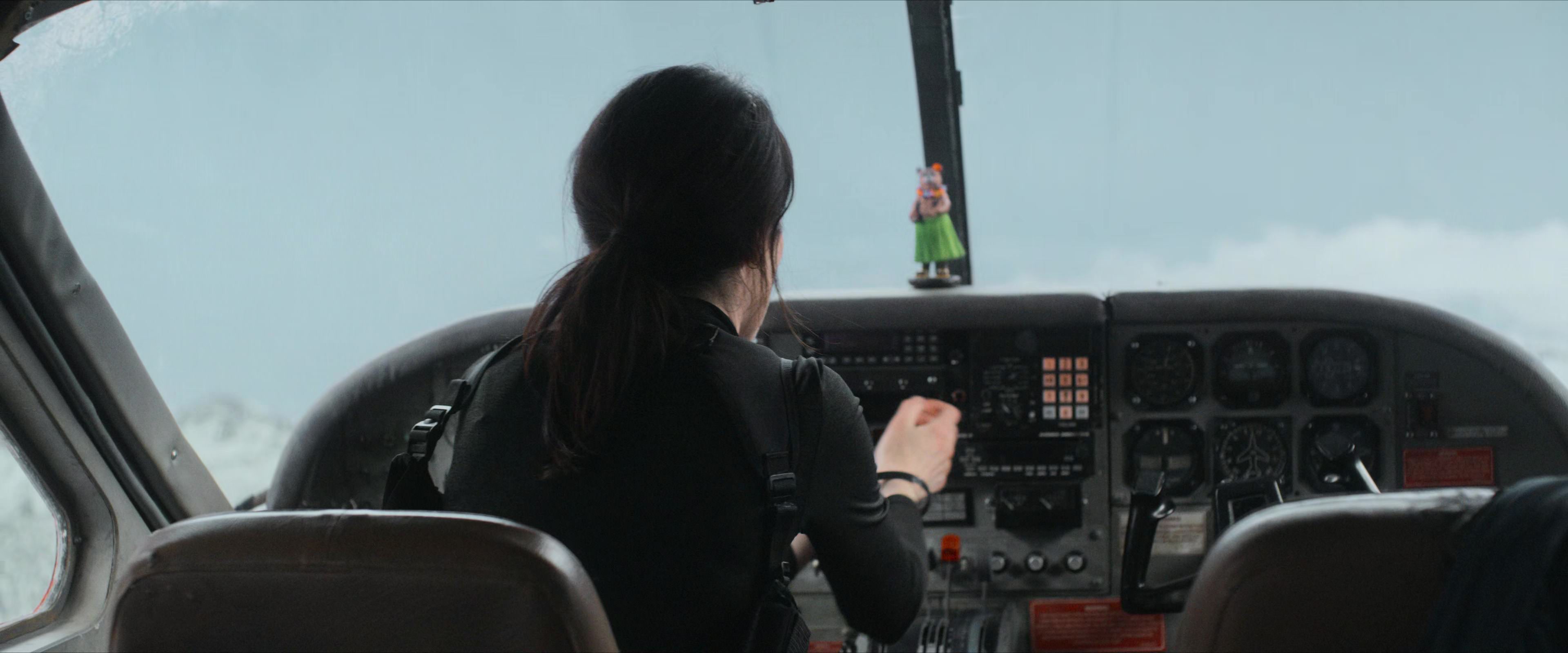 Flight Risk (2025) [4K] screencap 3378
