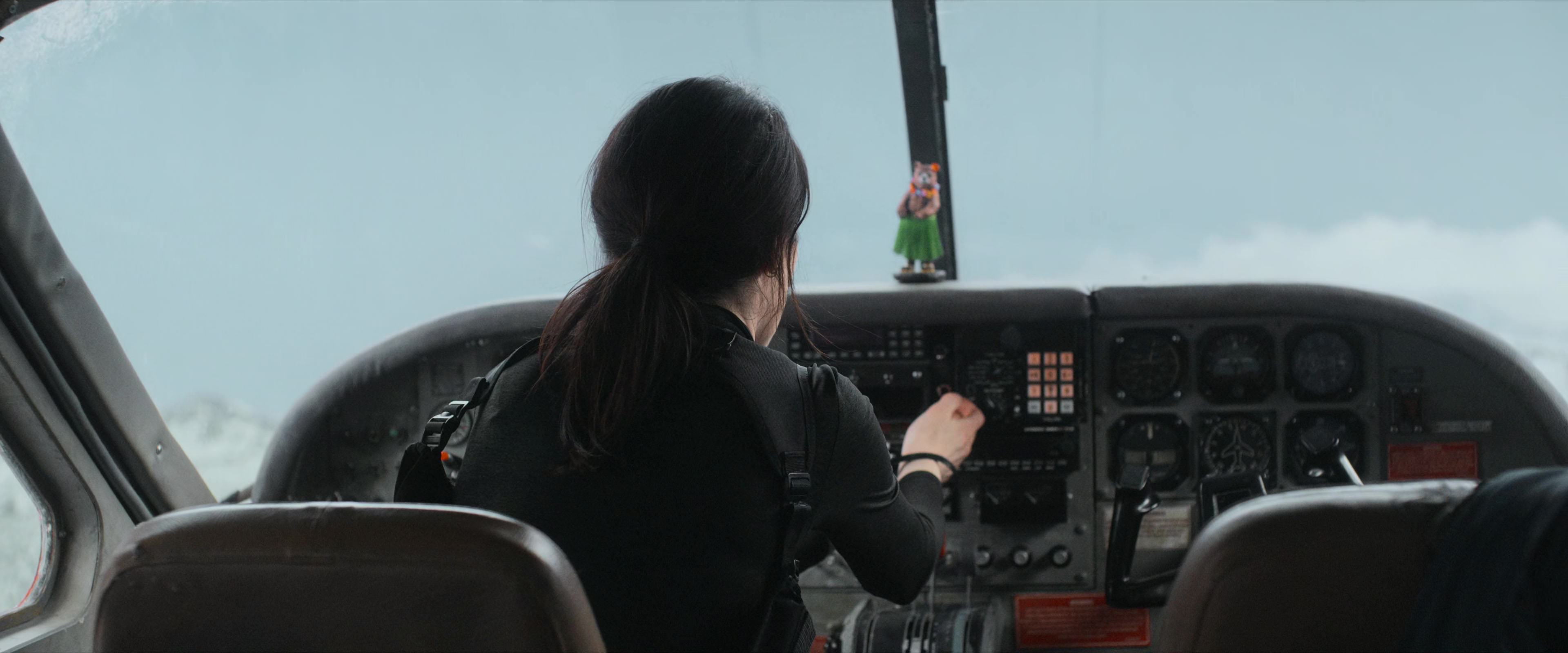 Flight Risk (2025) [4K] movie still 3379