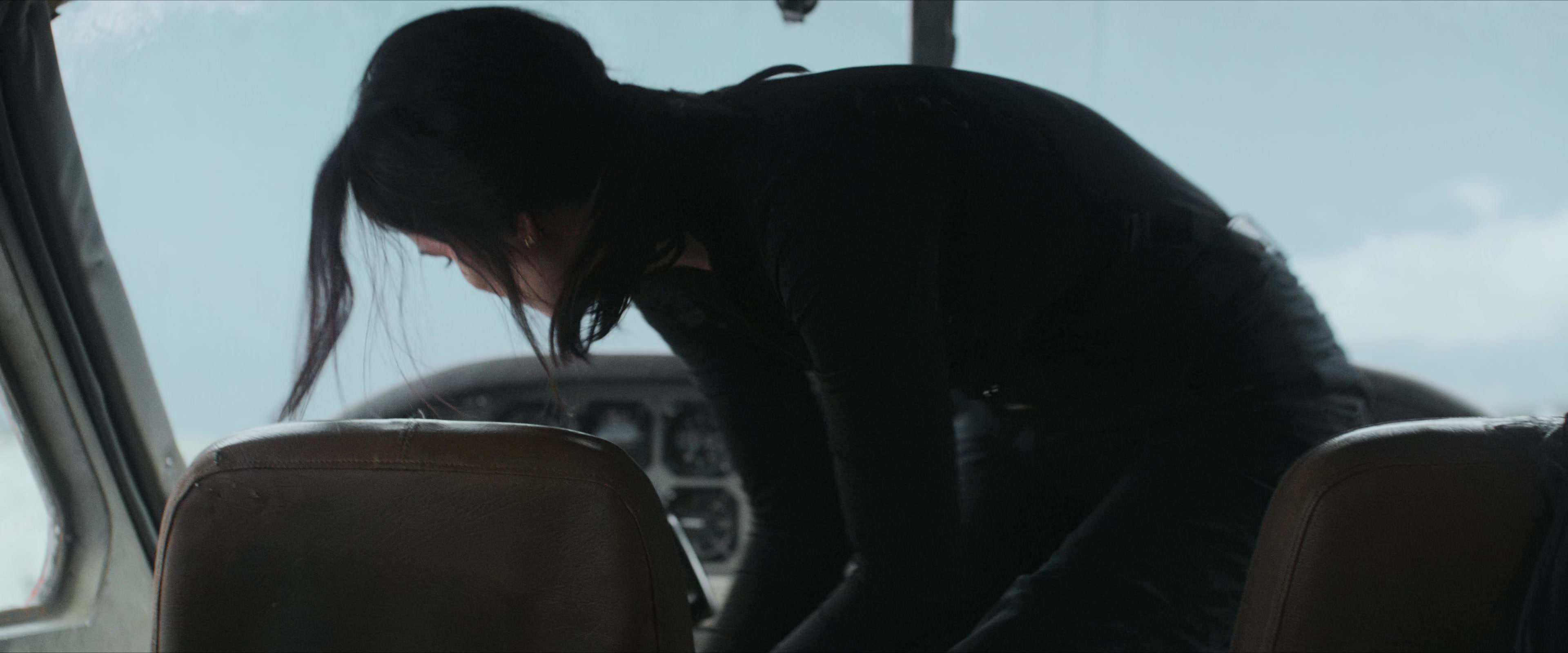 Flight Risk (2025) [4K] screencap 3504